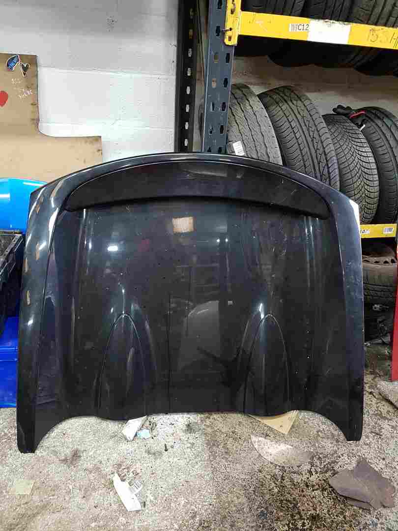 Renault Wind 2010-2013 Rear Roof Flap Panel Cover 676
