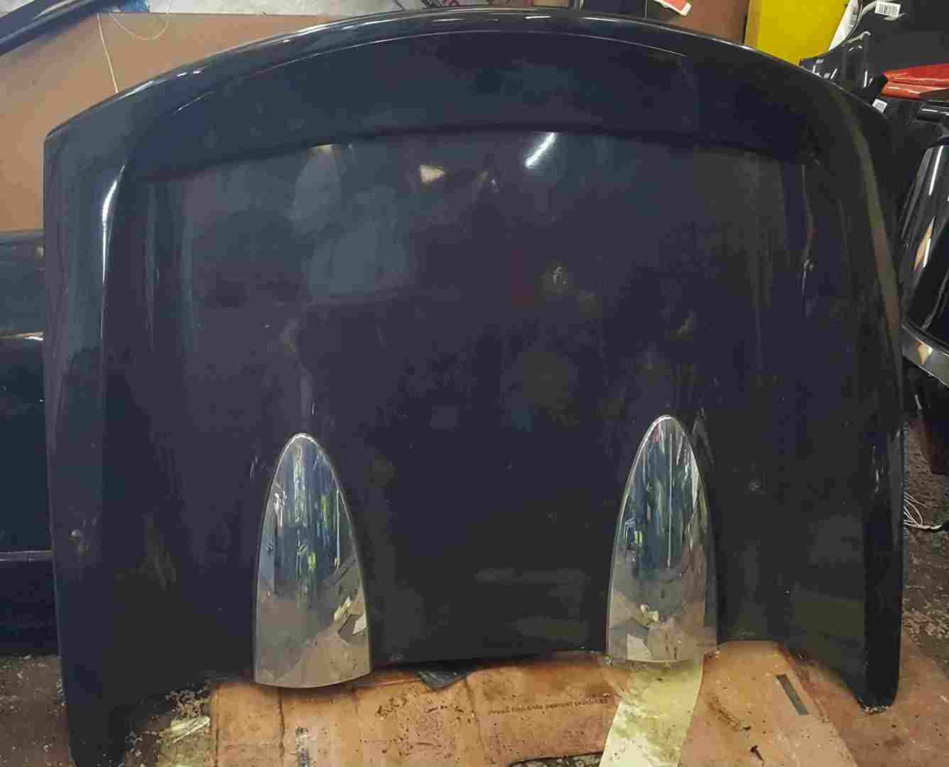 Thumb 4 Renault Wind 2010-2013 Rear Roof Flap Panel Cover 676