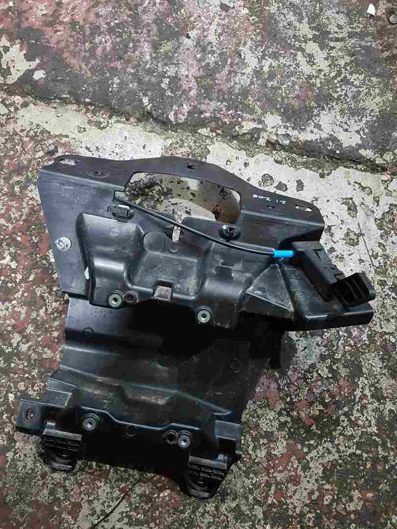 Renault ZOE 2019-2024 Front Charge Plastic Surround 296561900R
