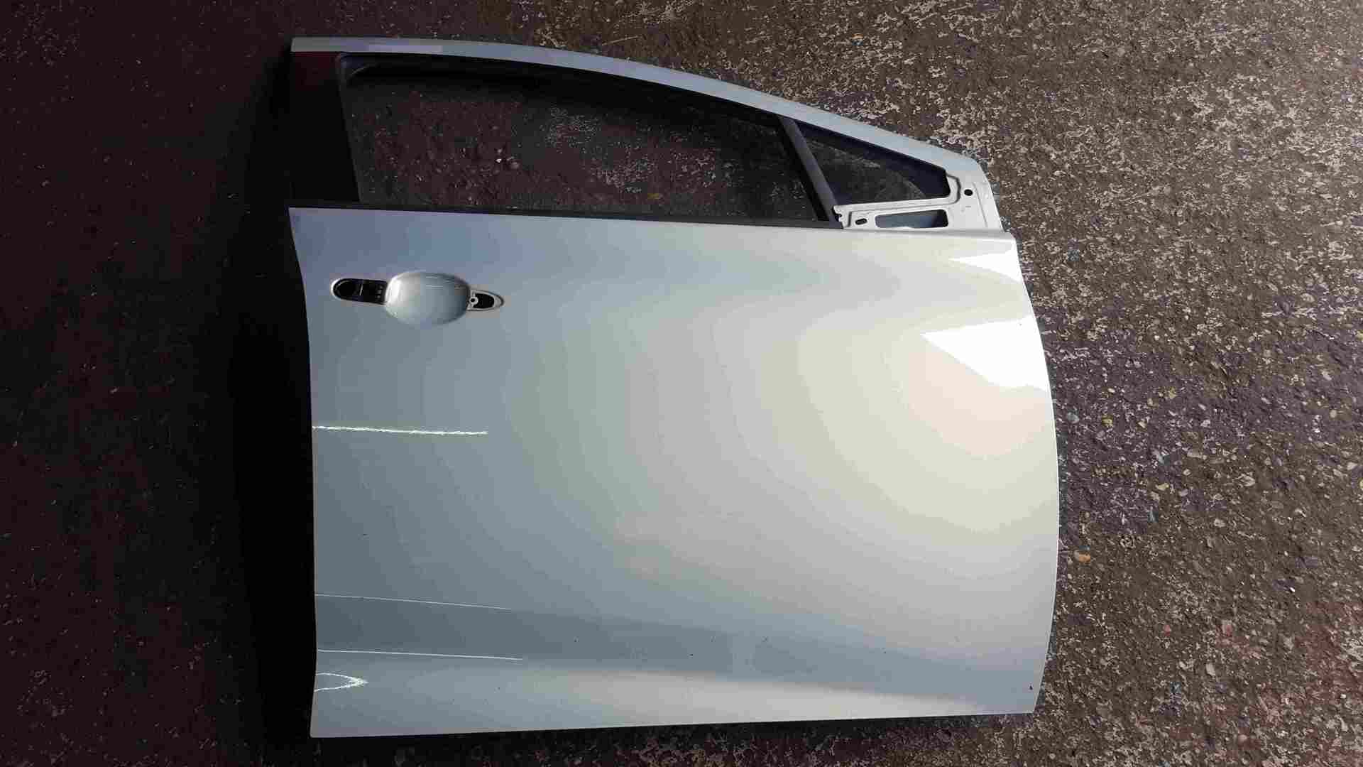 Renault Zoe 2012-2017 Drivers OSF Front Door Blue Grey TEKNU