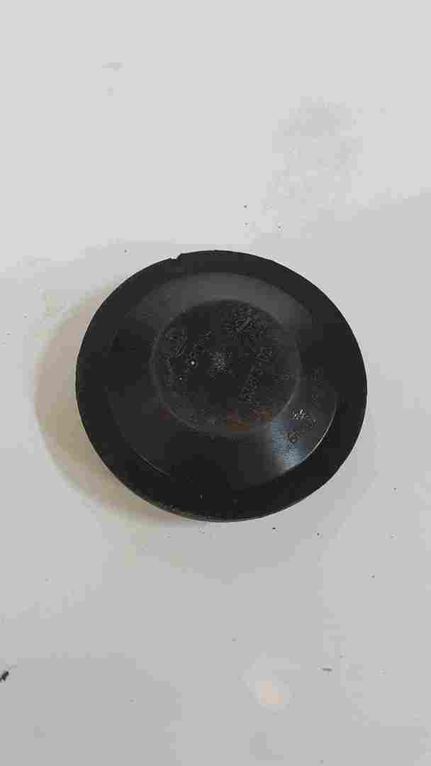 Renault Zoe 2012-2018 Headlight Dust Cap 15387302