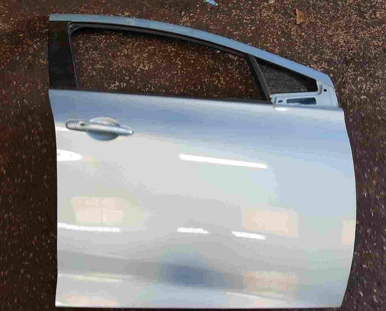 Renault Zoe 2012-2019 Drivers OSF Front Door Blue TERNU