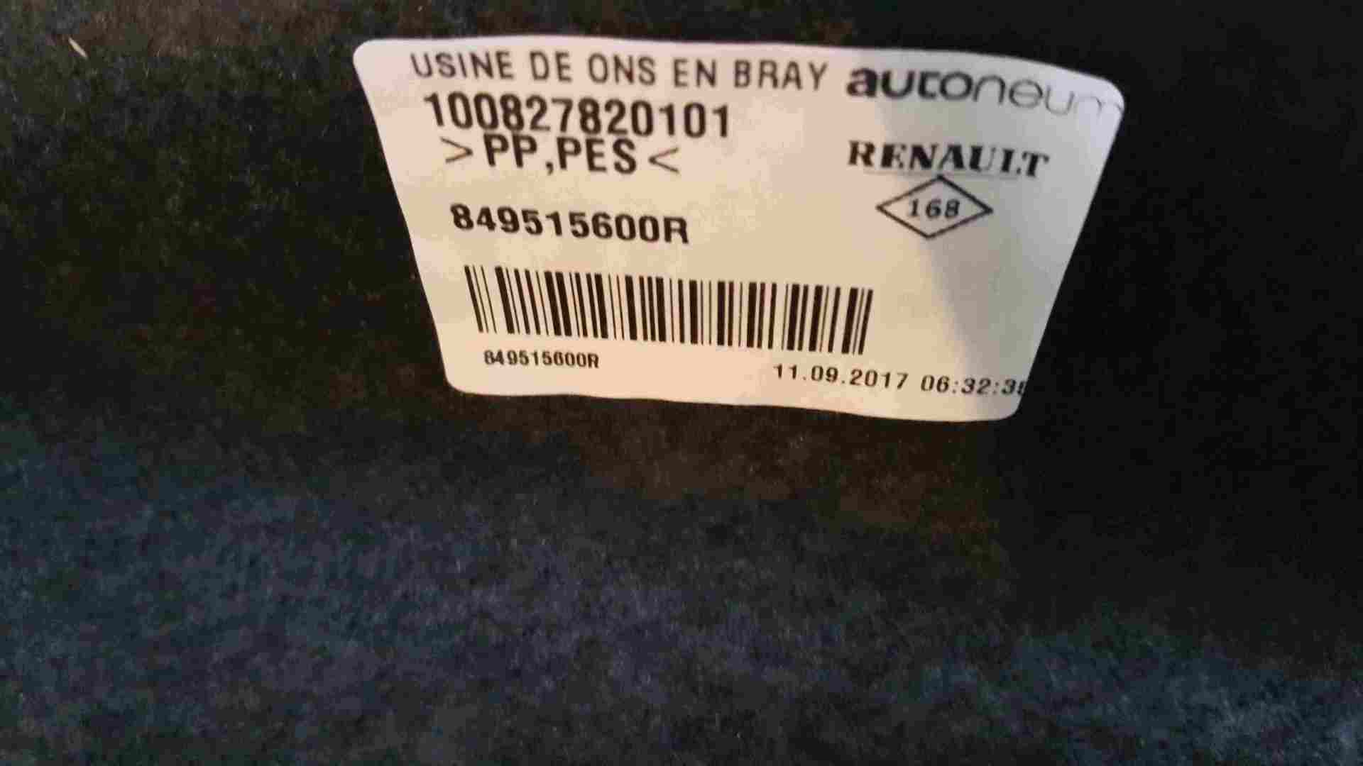 Thumb 2 Renault Zoe 2012-2019 Passenger NSR Rear Carpet Boot 849515600R