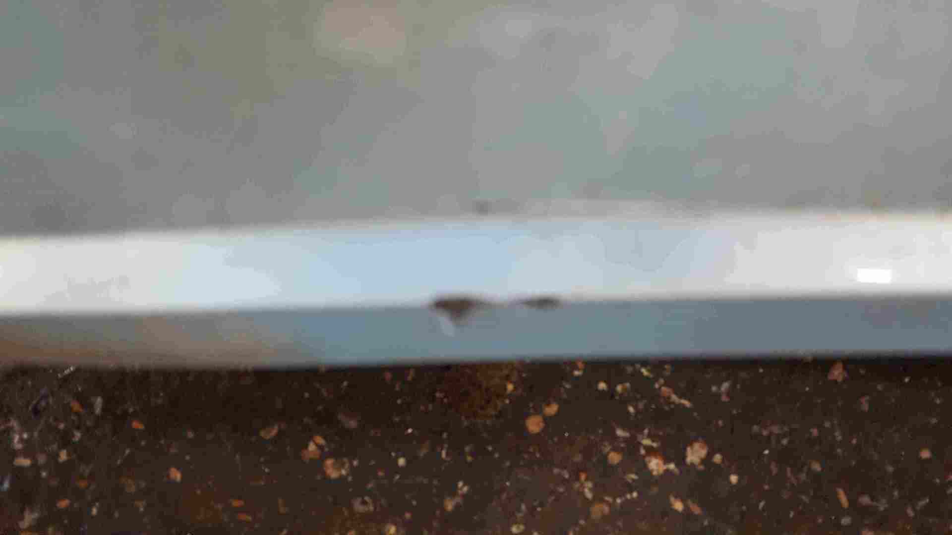 Thumb 2 Renault Zoe 2012-2019 Rear Bumper Blue TERNU