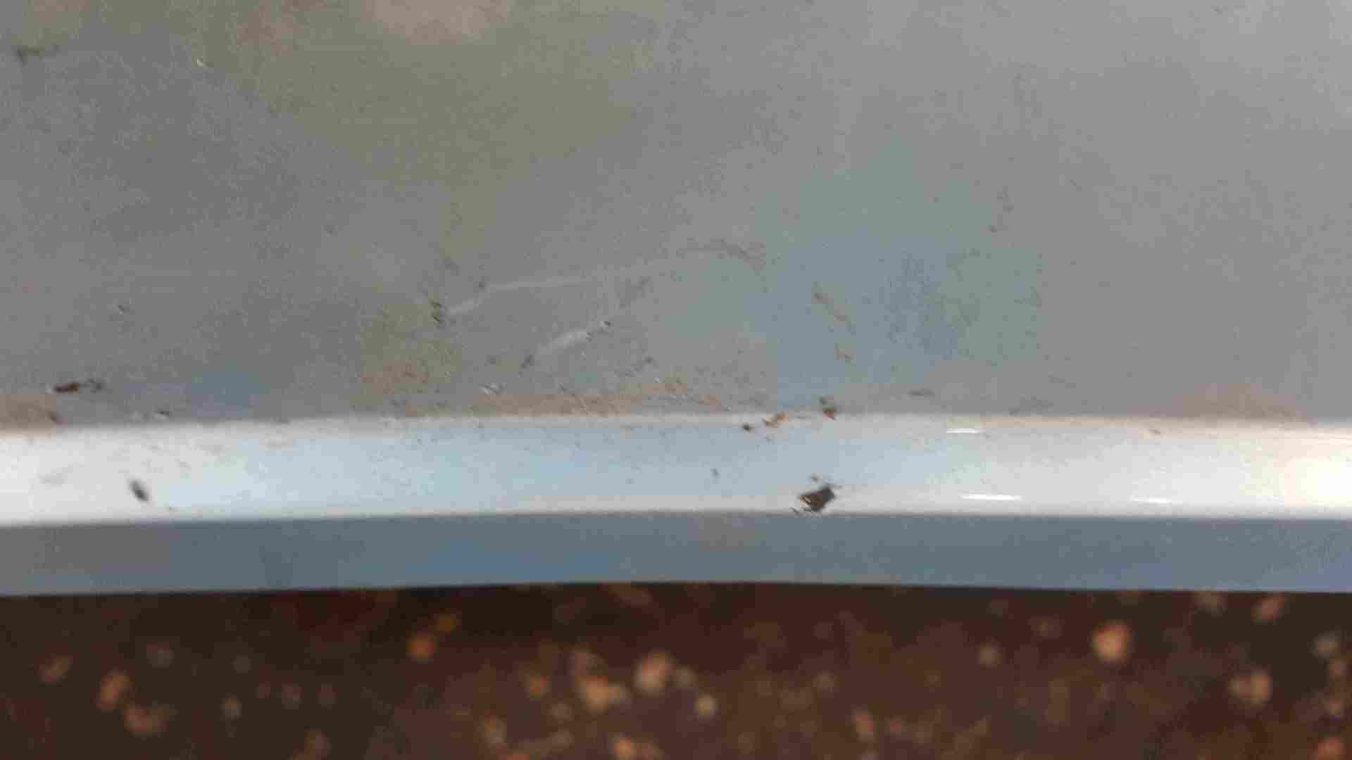 Thumb 3 Renault Zoe 2012-2019 Rear Bumper Blue TERNU