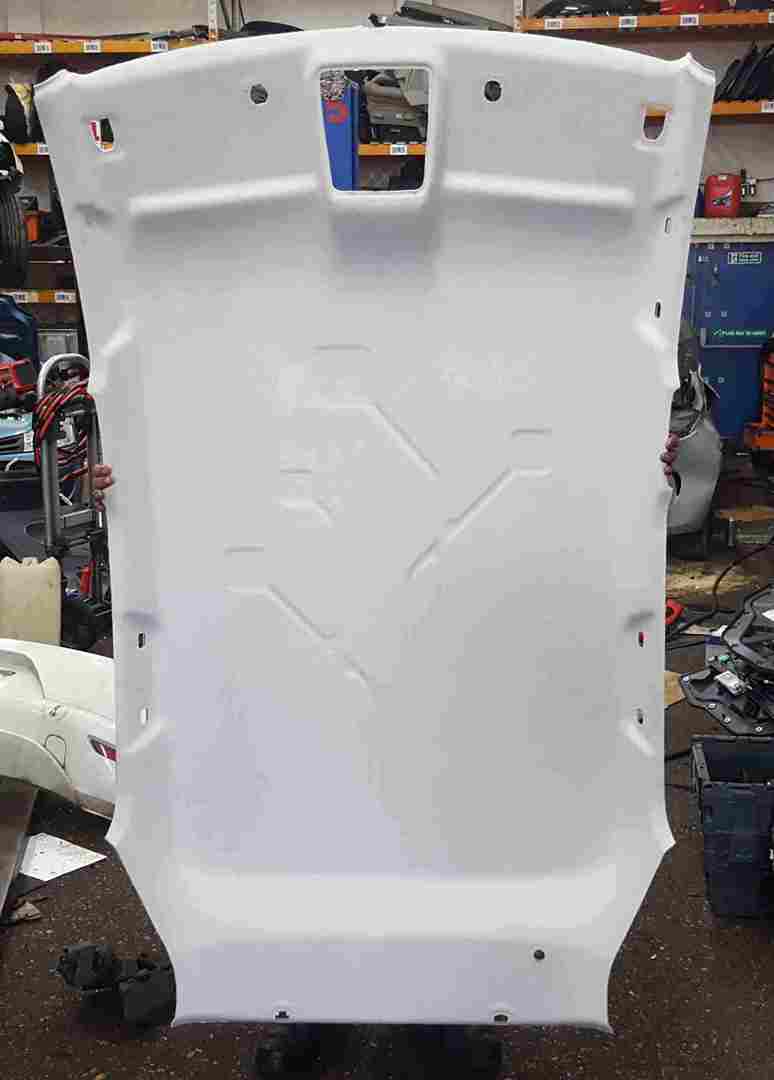 Renault Zoe 2016-2019 Roof Liner