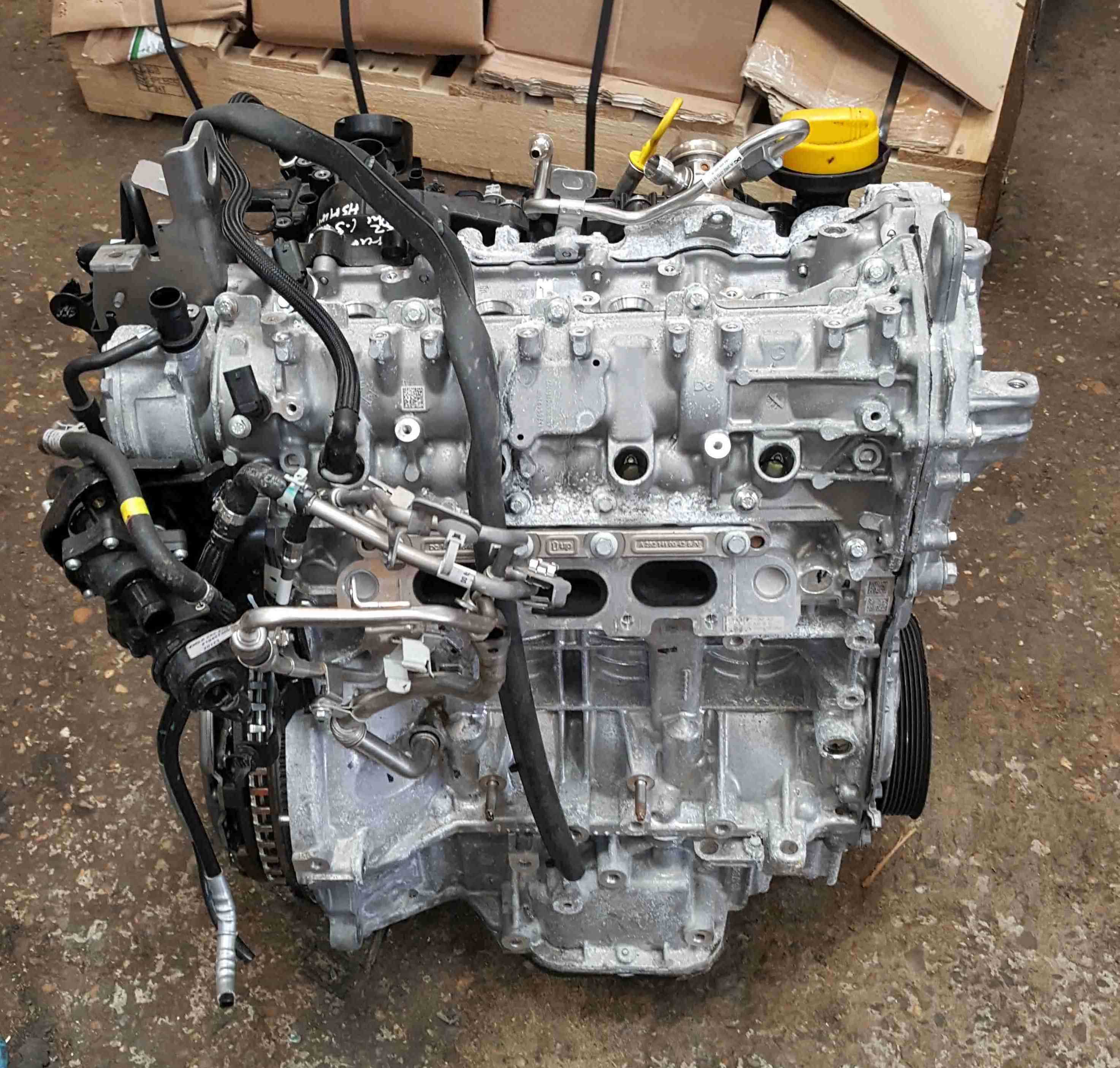 Main Image