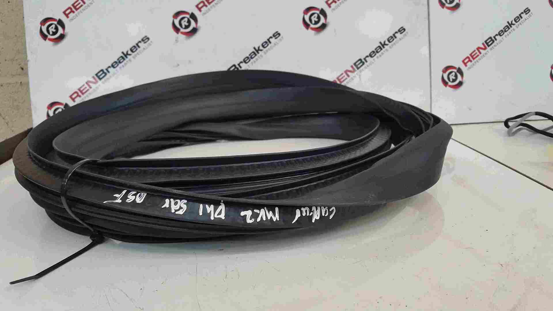 Renault Captur 2019-2021 Drivers OSF Front Door Rubber