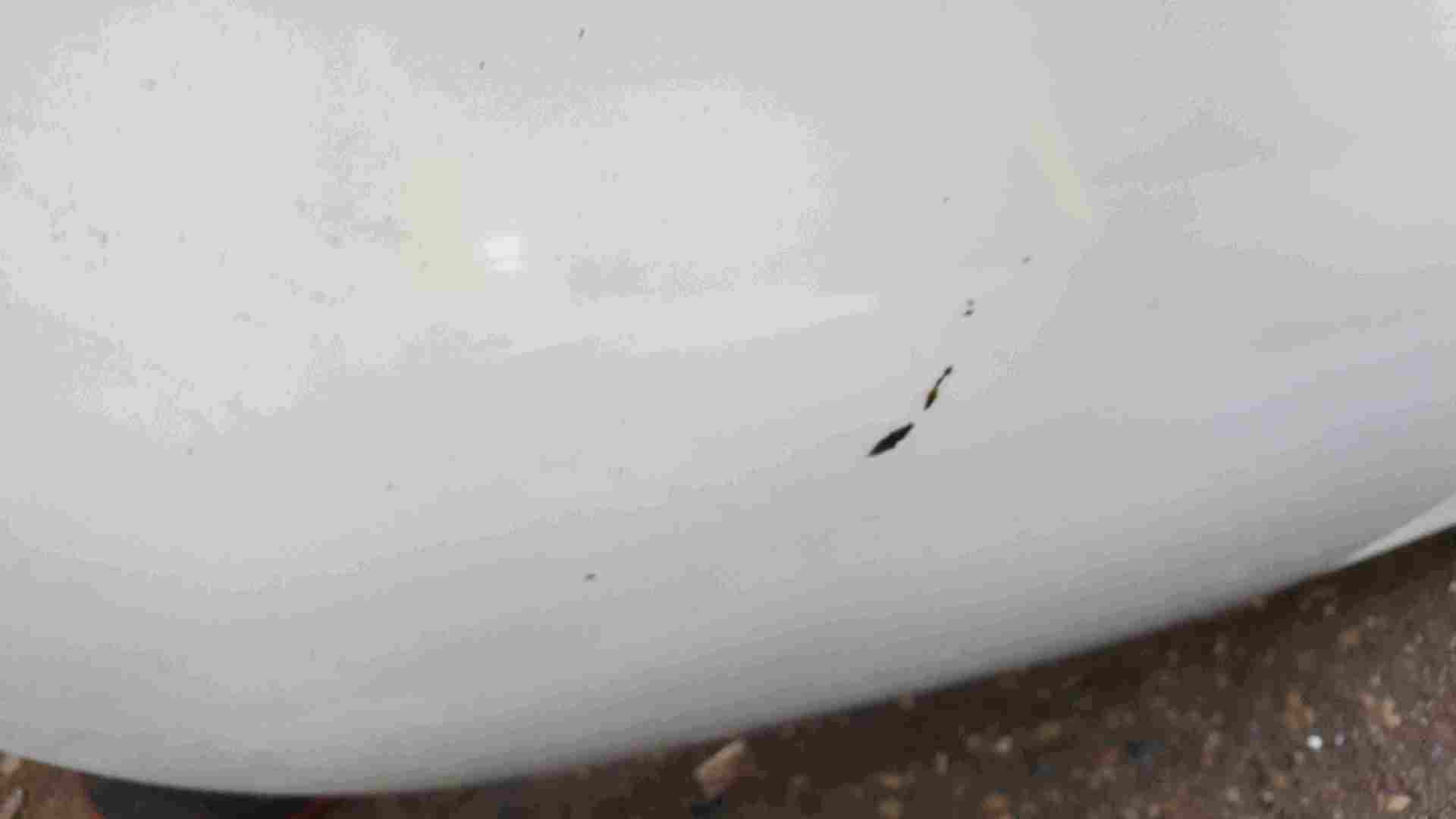 Thumb 3 Renault Clio MK2 2001-2006 Rear Tailgate Boot White OV369