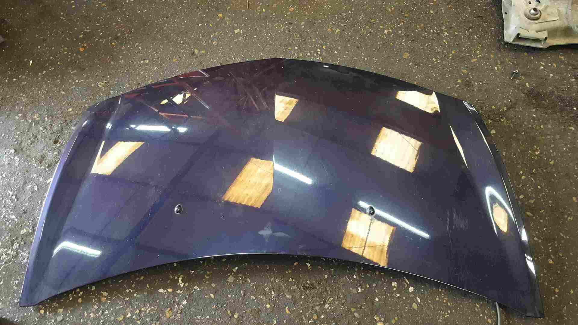 Renault Clio MK3 2005-2009 Front Bonnet Purple TE268