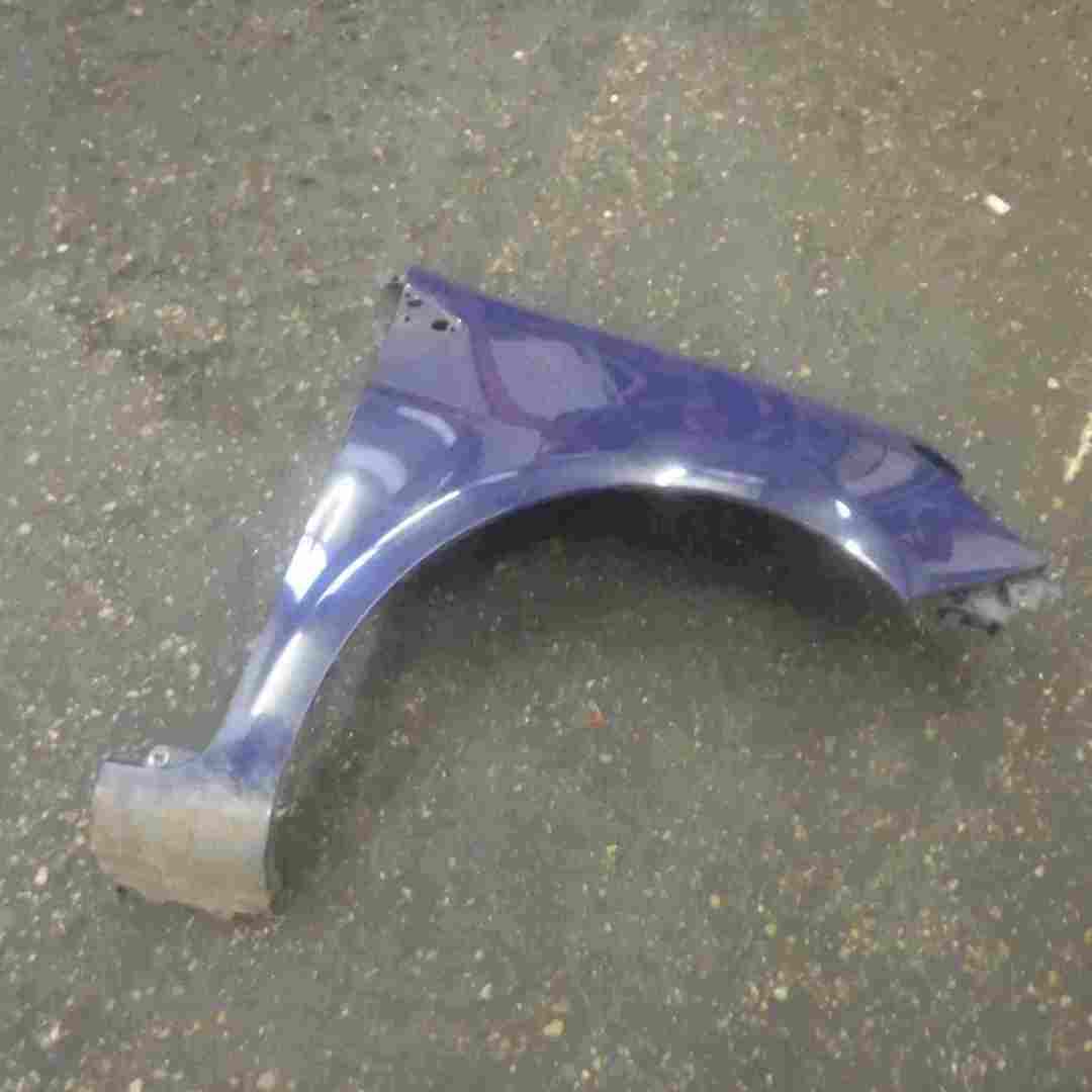 Renault Clio MK3 2005-2012 Drivers OS Wing Blue 460 185