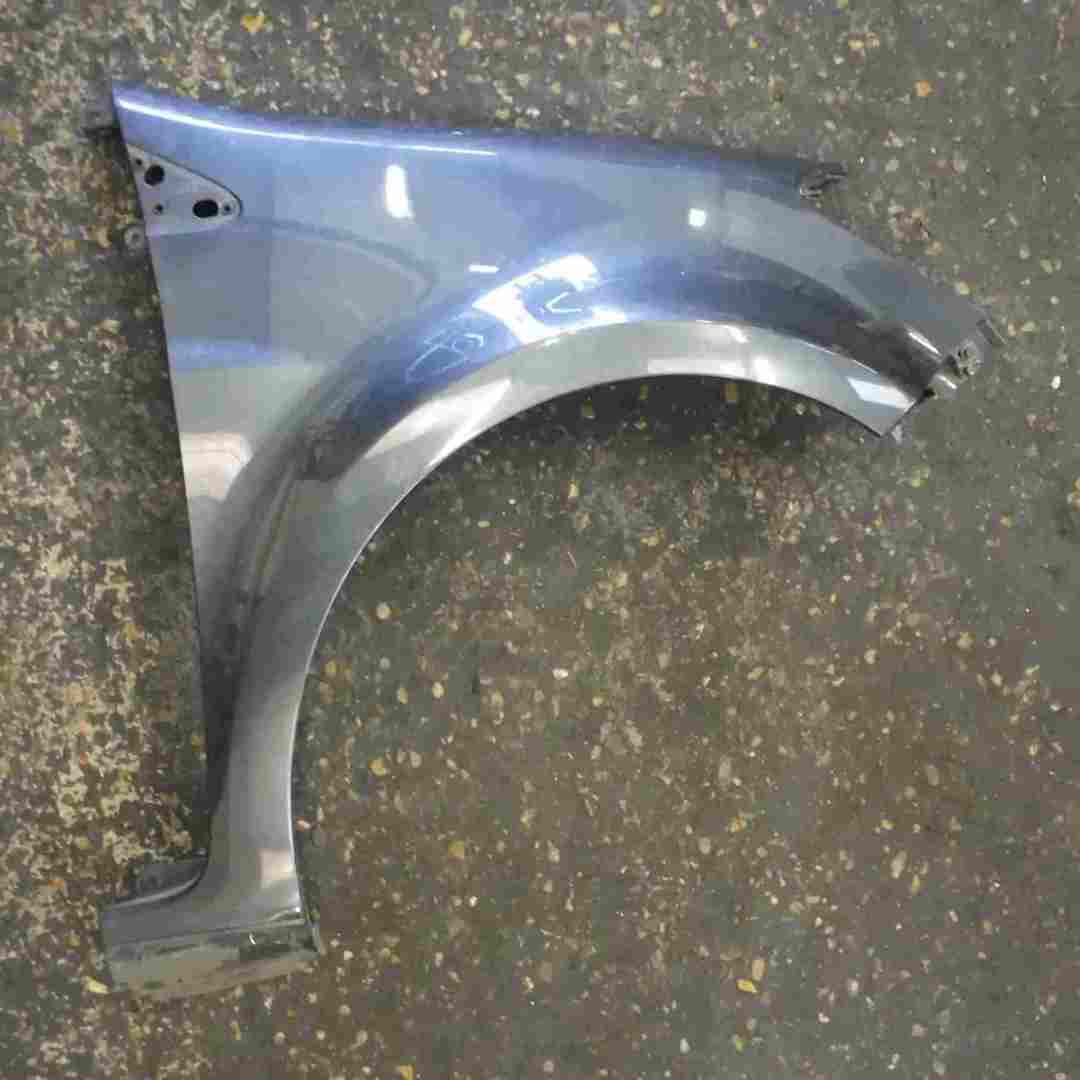 Renault Clio MK3 2005-2012 Drivers OS Wing Grey TEB66 195