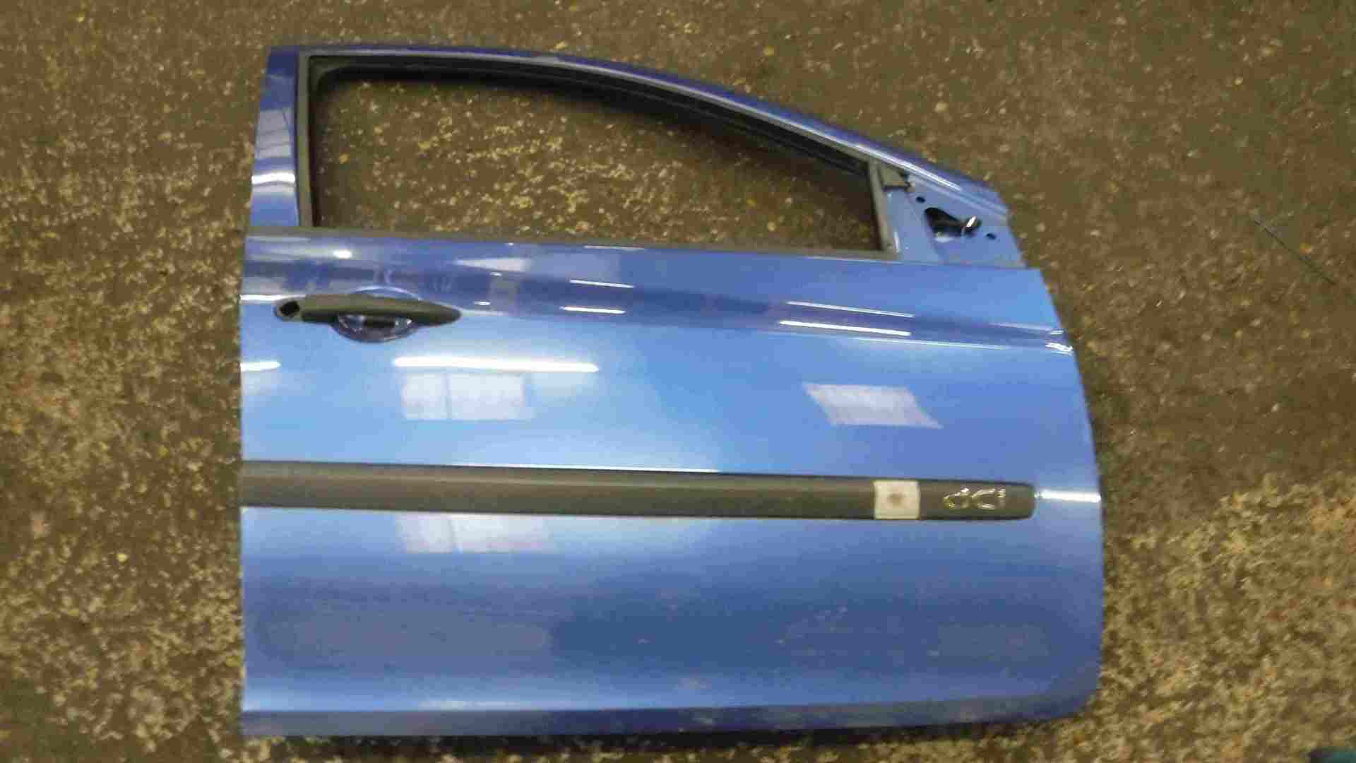 Renault Clio MK3 2005-2012 Drivers OSF Front Door Blue TEI45 TE45 5dr
