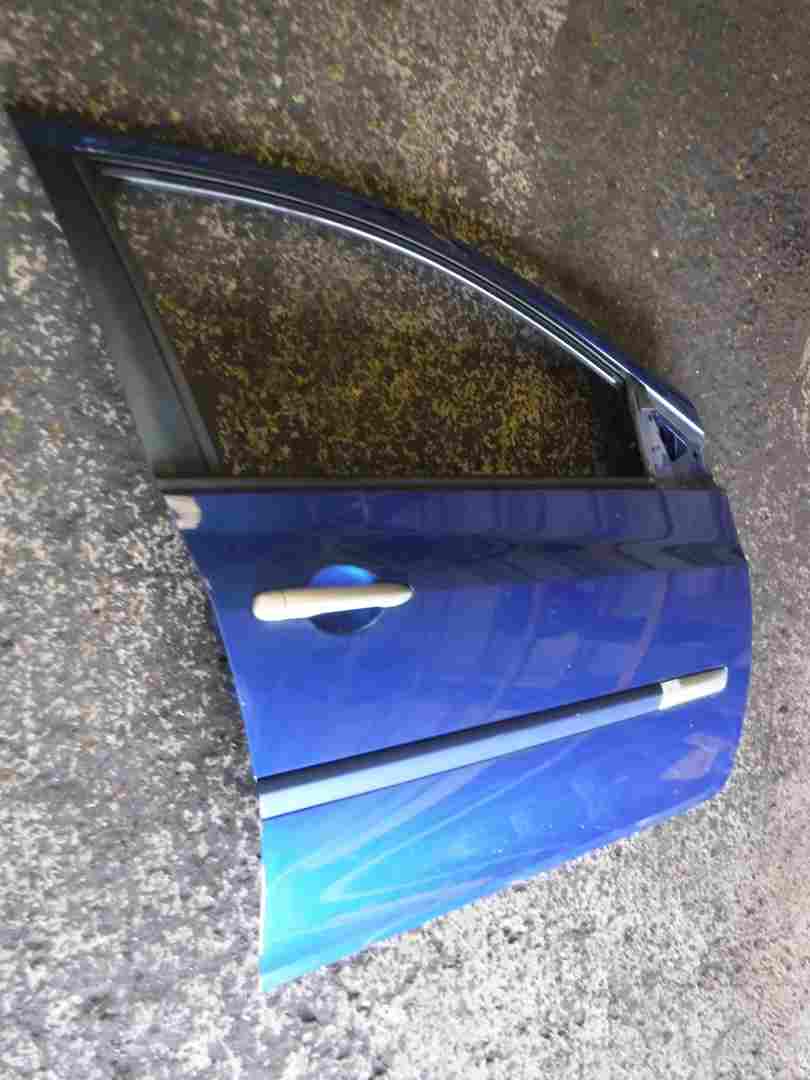 Renault Clio MK3 2005-2012 Drivers OSF Front Door Blue TERNA 5dr