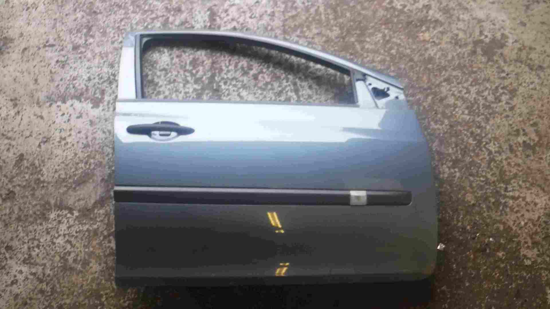 Renault Clio MK3 2005-2012 Drivers OSF Front Door Grey Purple TEJ47 5dr 