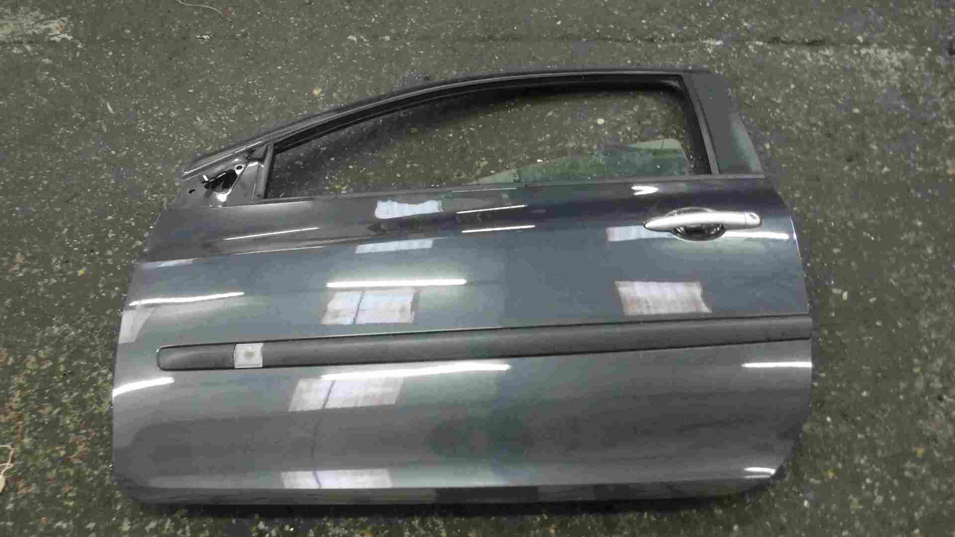 Renault Clio MK3 2005-2012 Passenger NSF Door Grey TEB66 3DR