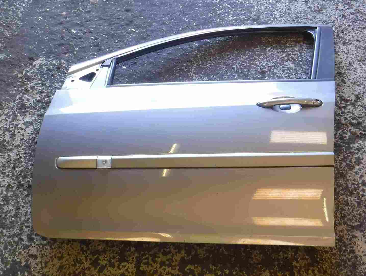 Renault Clio MK3 2005-2012 Passenger NSF Front Door Grey TEKNG 5DR