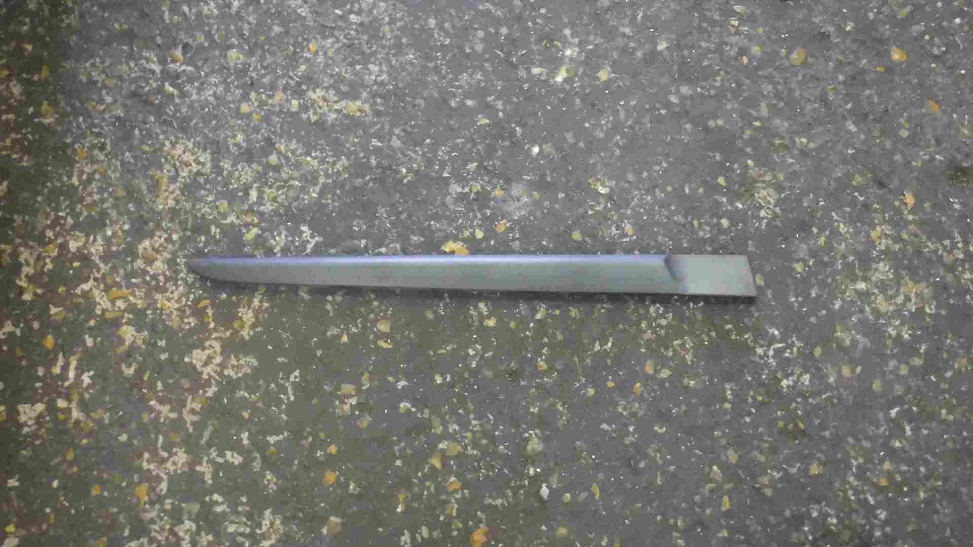 Renault Clio MK3 2005-2012 Passenger NSR Rear Door Moulding Trim 5dr 8200289924
