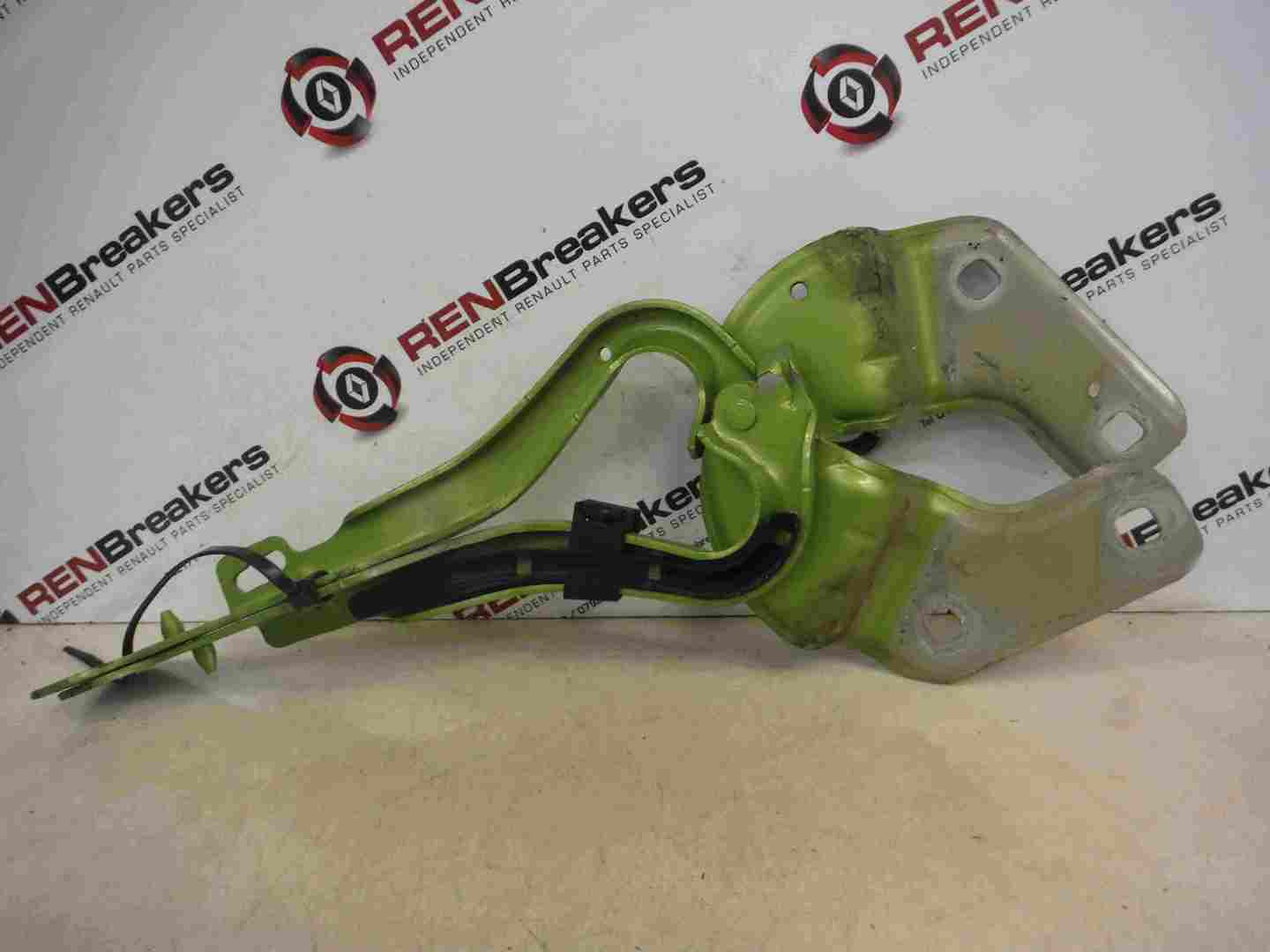 Renault Clio MK3 2009-2012 Front Bonnet Hinges Pair Green DNQ