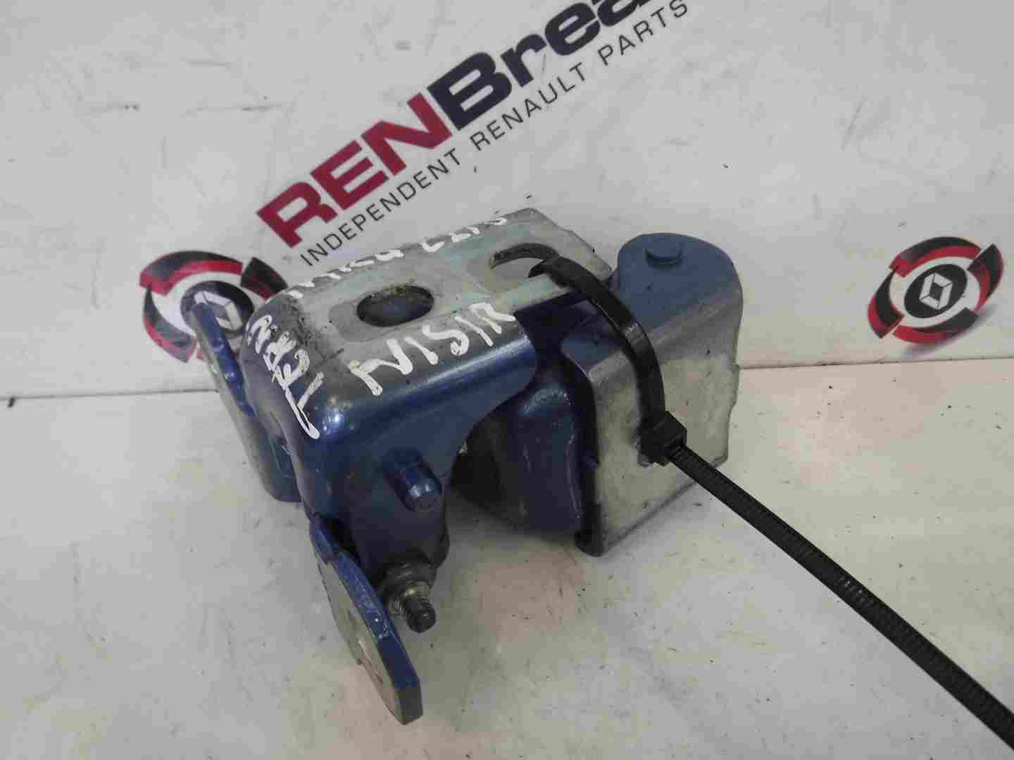 Renault Clio MK4 2013-2019 Passengers NSR Rear Door Hinges Blue TERNT