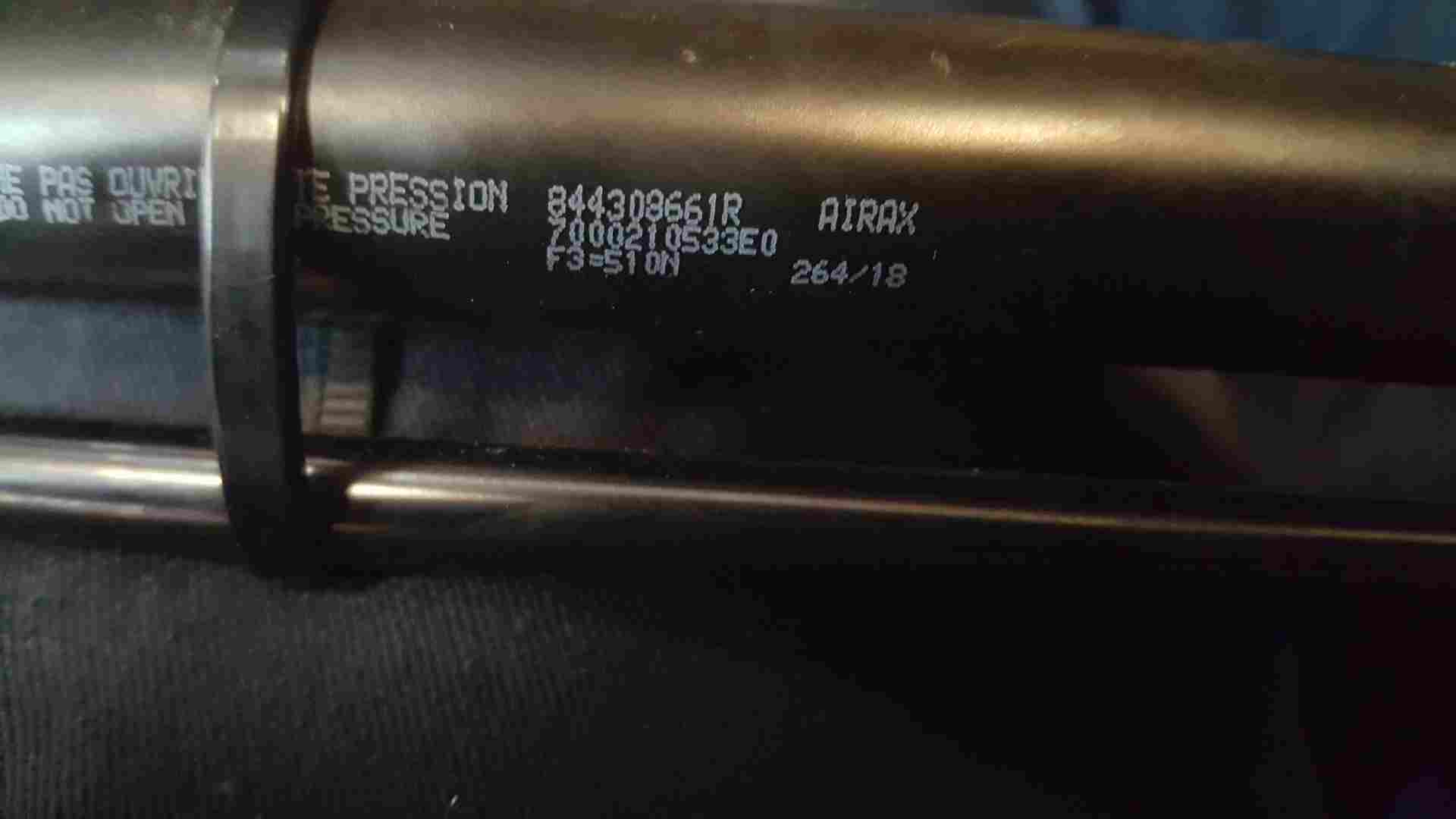 Renault Clio MK4 2013-2018 Boot GAS Struts 844308661R