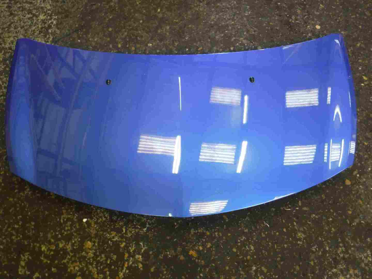 Renault Clio Sport 2005-2009 197 Front Bonnet Blue TERNC