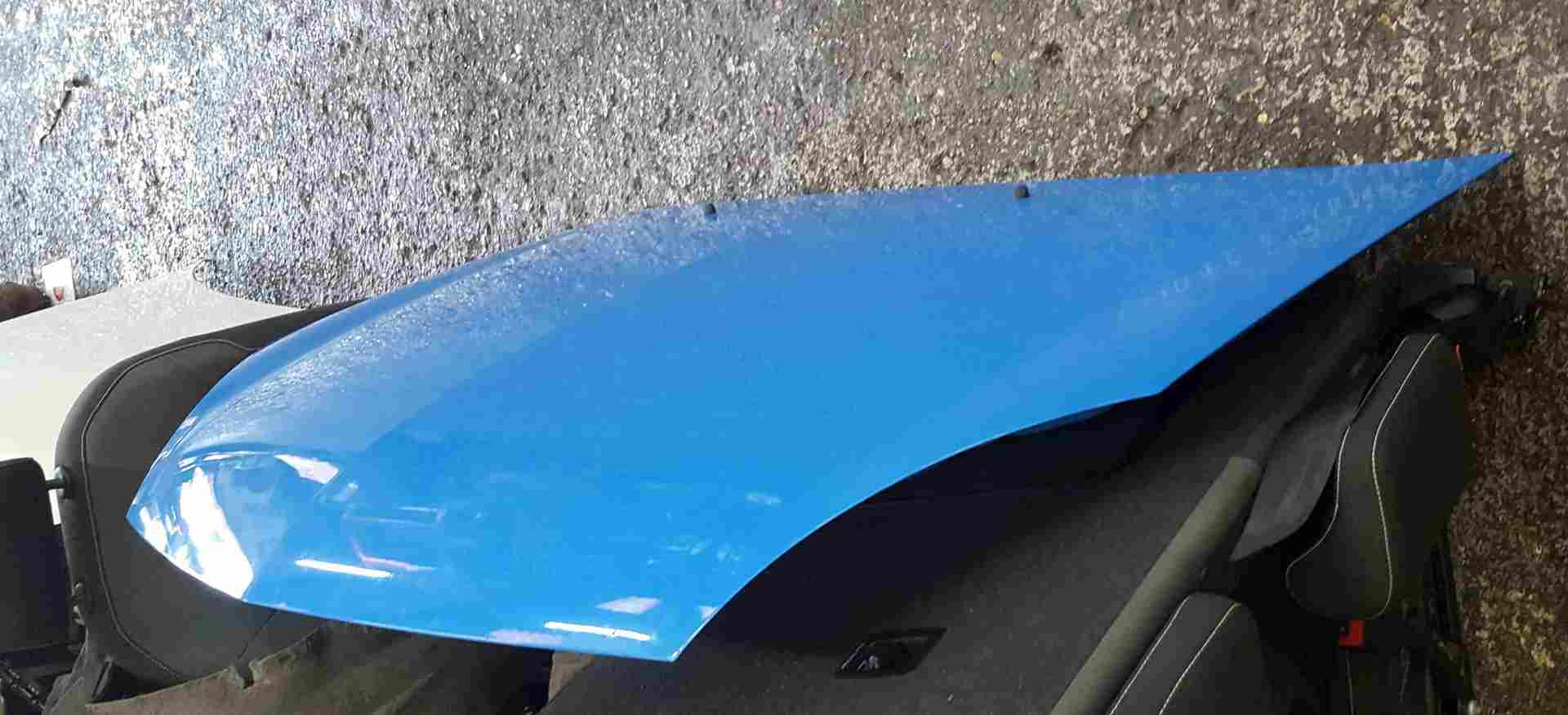 Renault Clio Sport CUP 2001-2006 172 182 Front Bonnet Racing Blue Oj45 OJ45
