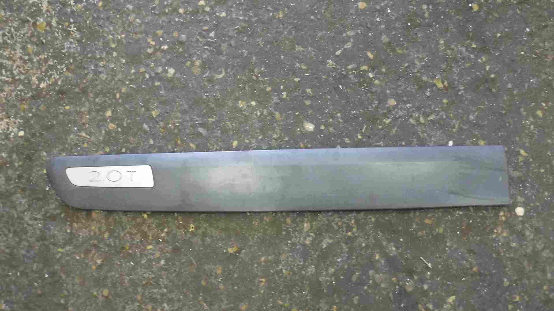 Renault Espace 2003-2013 2.0 T Passenger NSF Front Door Moulding Trim 8200095948