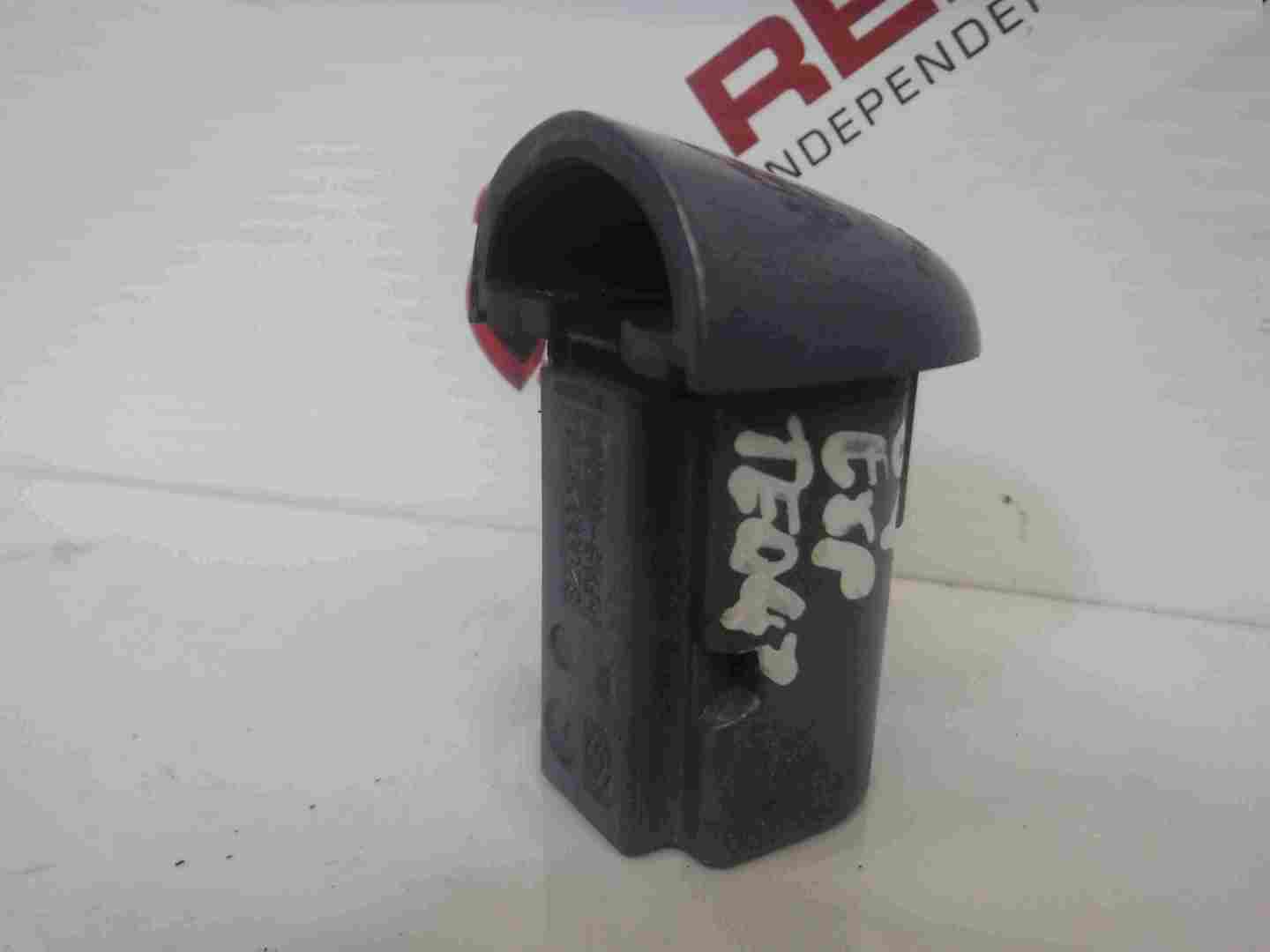 Renault Espace 2003-2013 Exterior Door Cap Cover Purple TED47