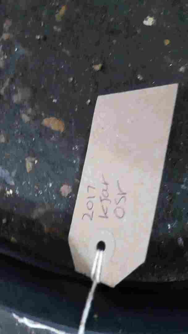 Renault Kadjar 2015-2021 Drivers OSR Rear Door Rubber Seal