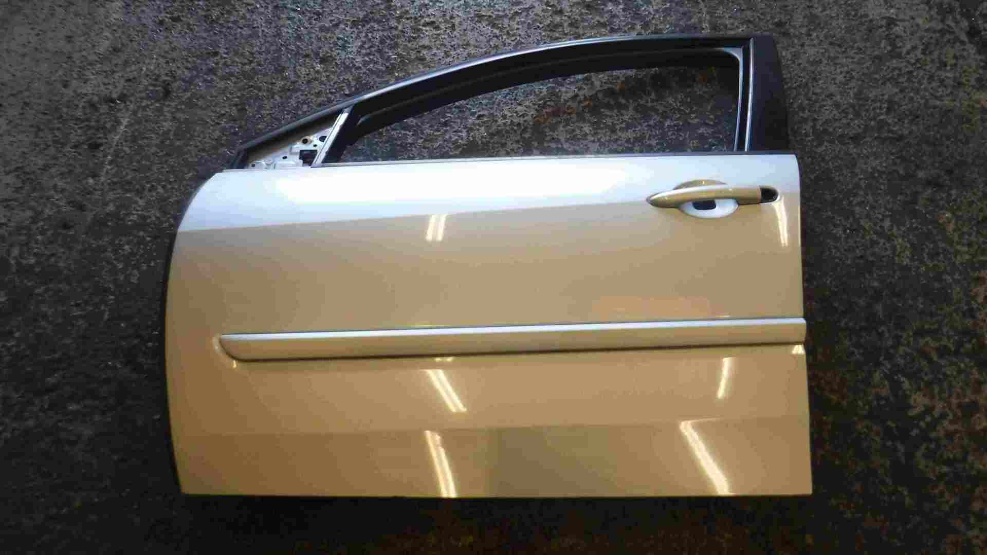 Renault Laguna 2007-2012 Passenger NSF Front Door Silver TED69