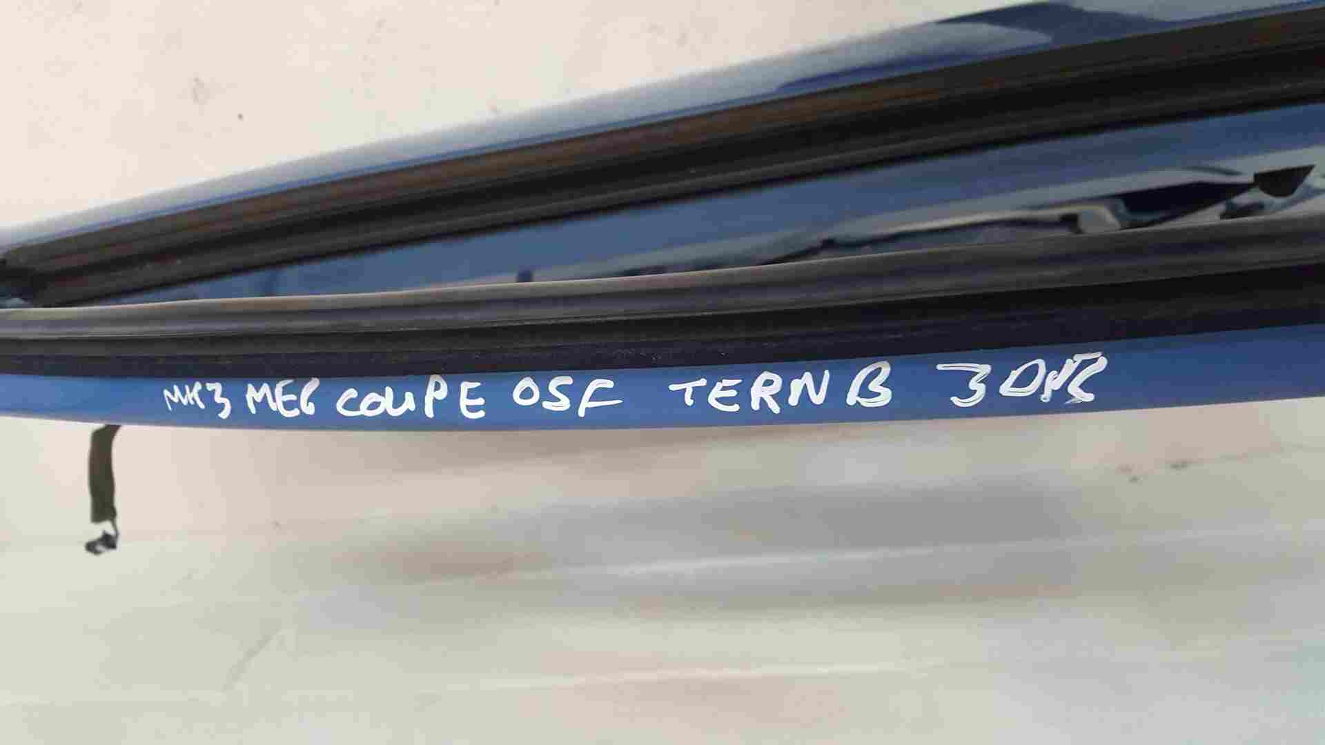Thumb 3 Renault Megane Coupe MK3 2008-2014 Drivers OSF Front Door Blue Terpb