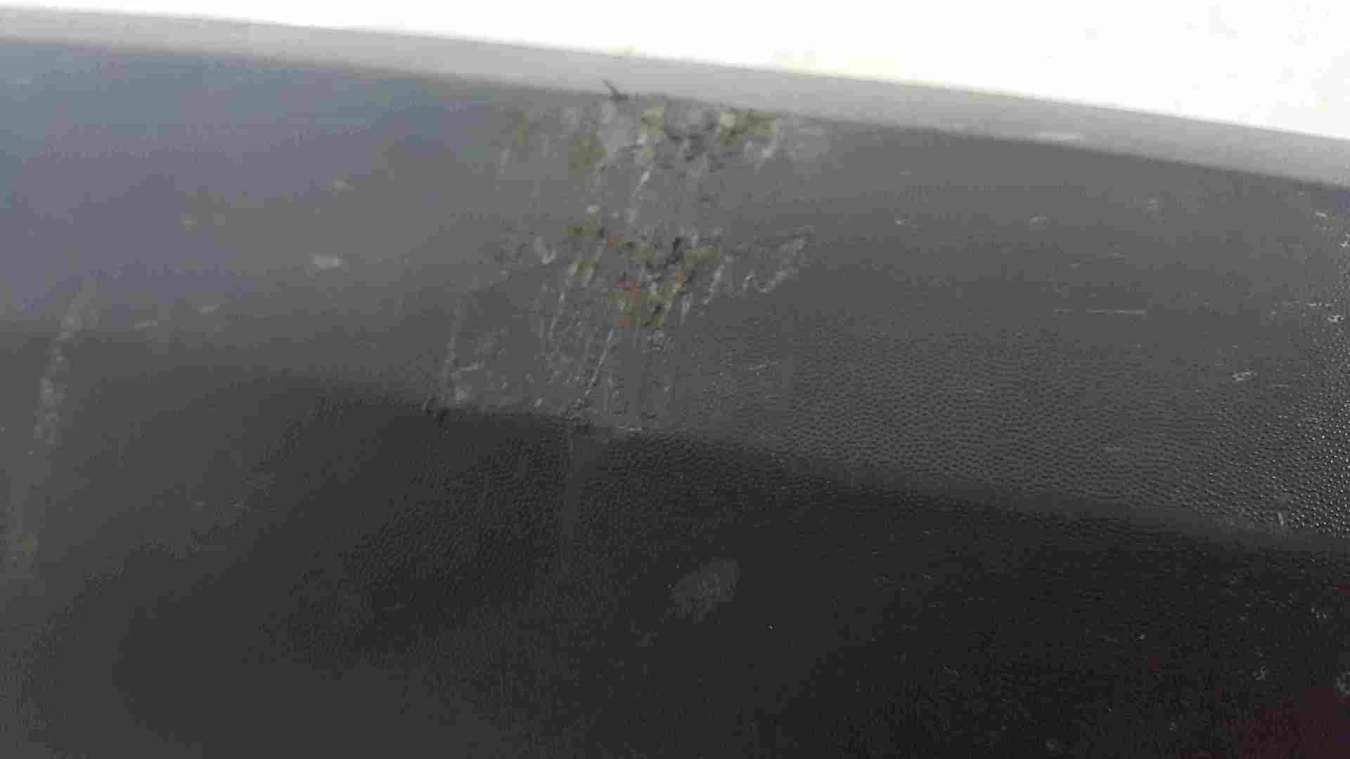 Renault Megane Hatchback MK3 2008-2014 Drivers OSR Rear Door Moulding Trim 5dr