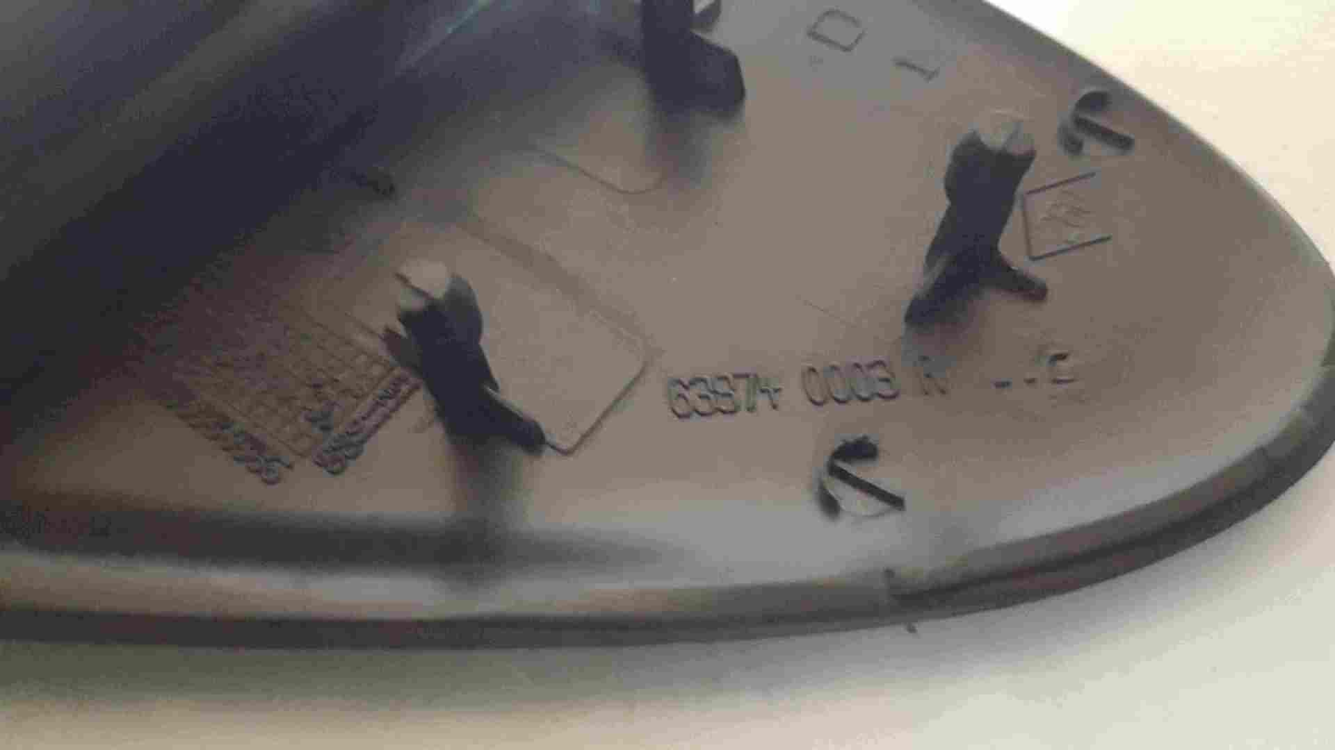 Thumb 3 Renault Megane MK3 2008-2014 Drivers OS Wing Cover Cap Trim 638740003R