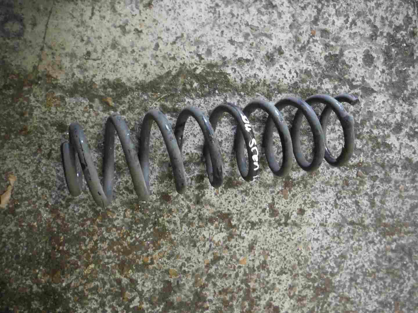 Renault Megane Scenic 2003-2009 1.9 dCi NS OS Rear Spring Suspension