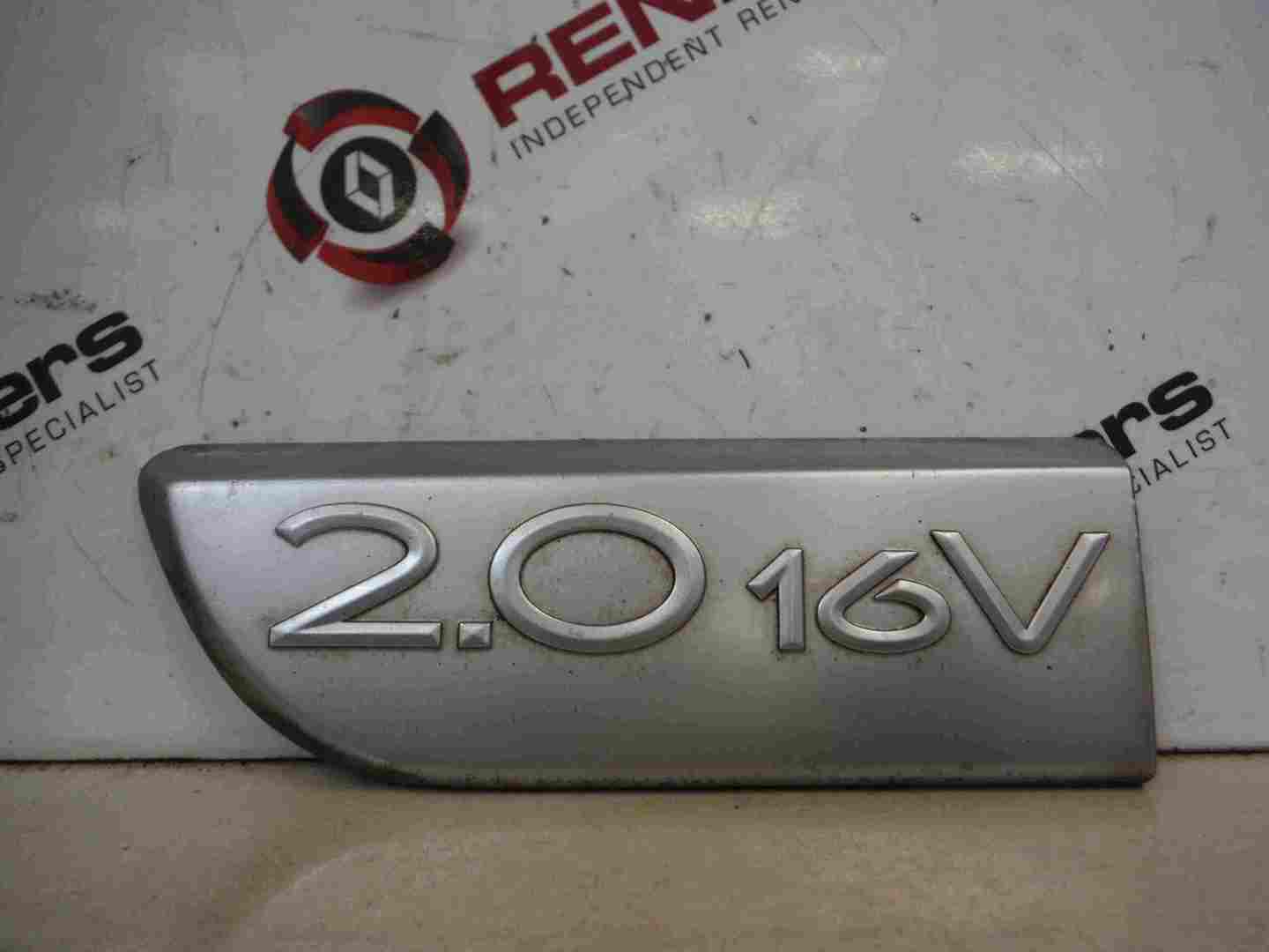 Renault Megane Scenic 2003-2009 2.0 16v Passenger NSF Door Bullet Moulding