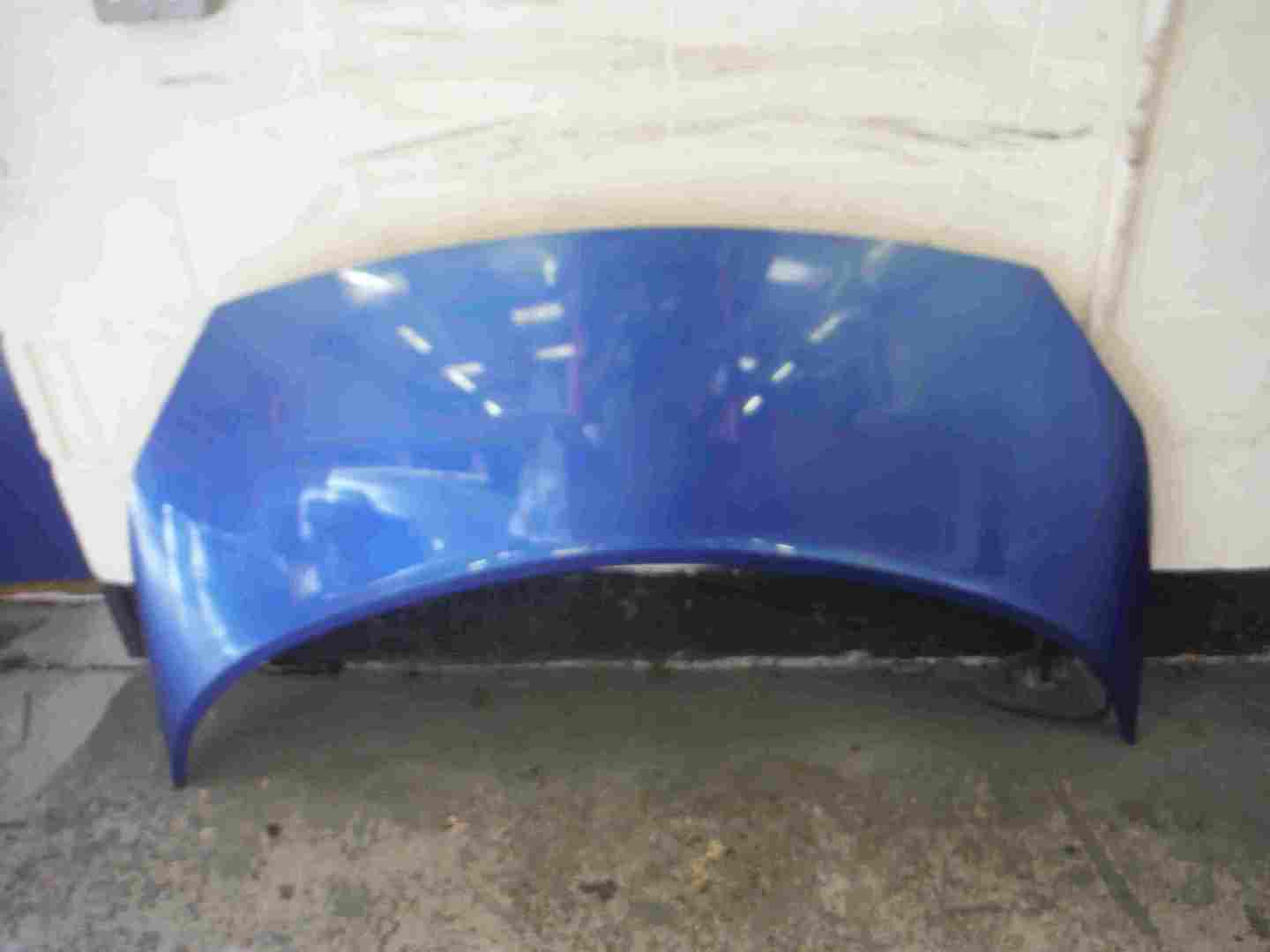 Renault Megane Scenic 2003-2009 Bonnet Blue TEI45 TE145