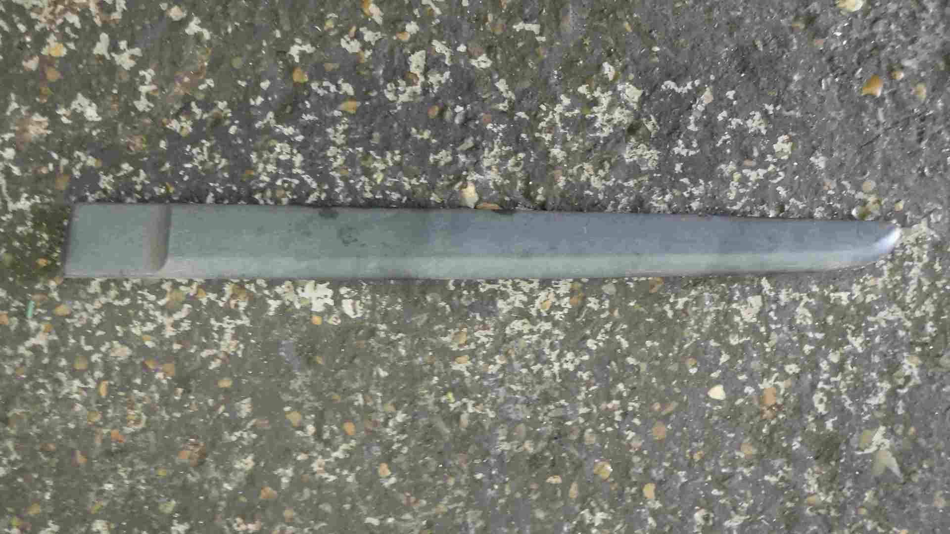 Renault Modus 2004-2008 Passenger NSR Rear Door Moulding Trim 8200213784
