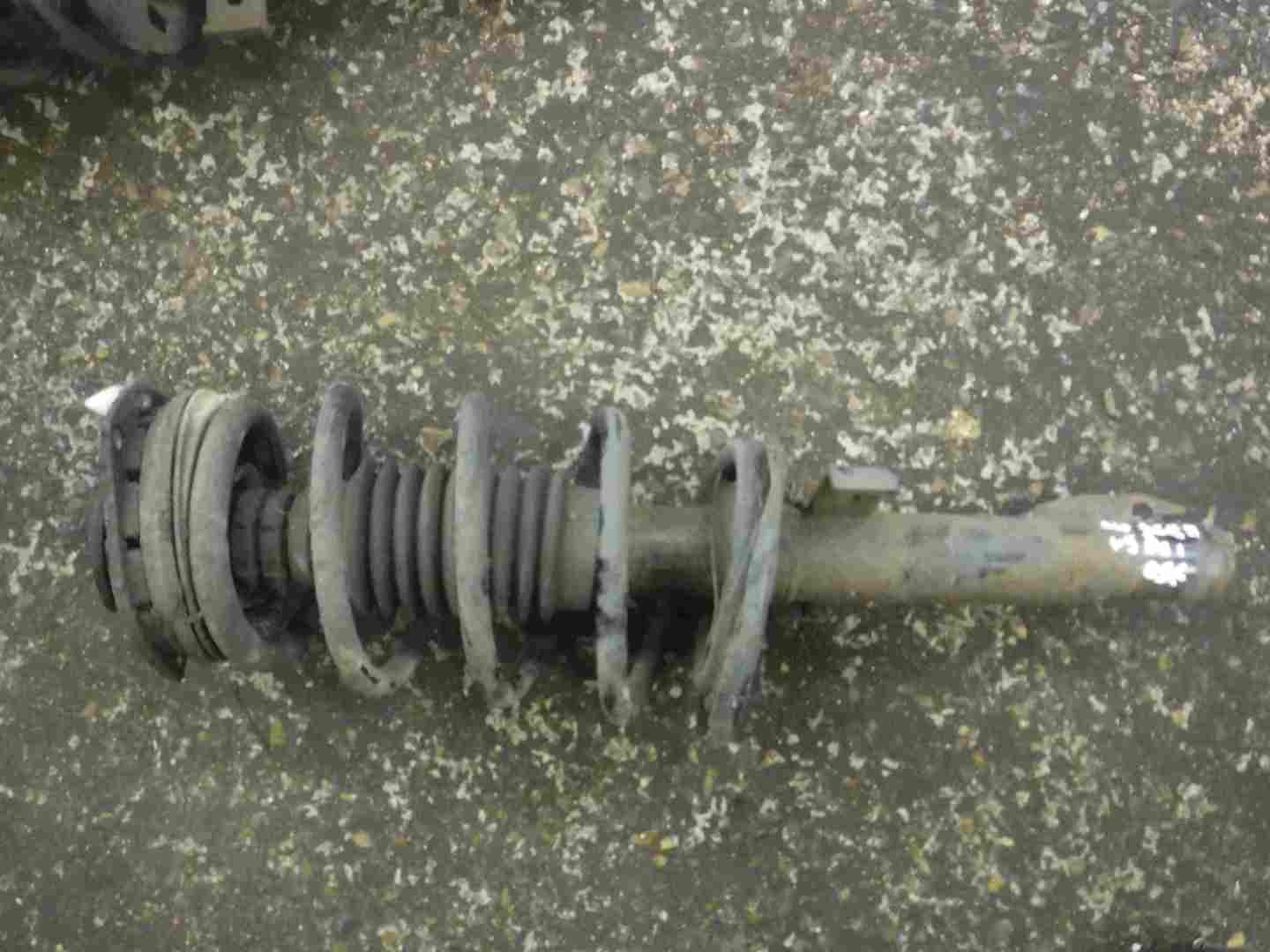 Renault Scenic 2003-2009 1.9 dCi Drivers OSF Front Spring Suspension Leg