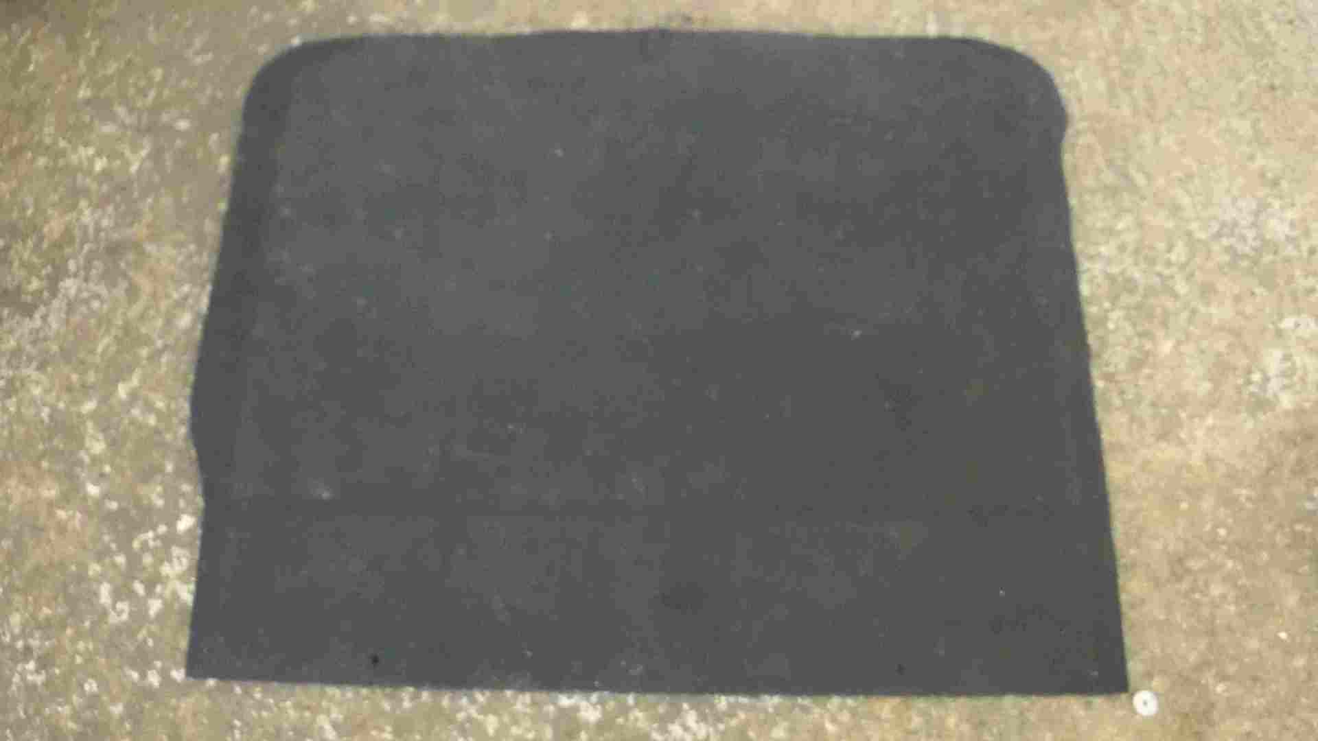 Renault Scenic 2003-2009 Black Boot Carpet Floor Mat Liner 8200250345