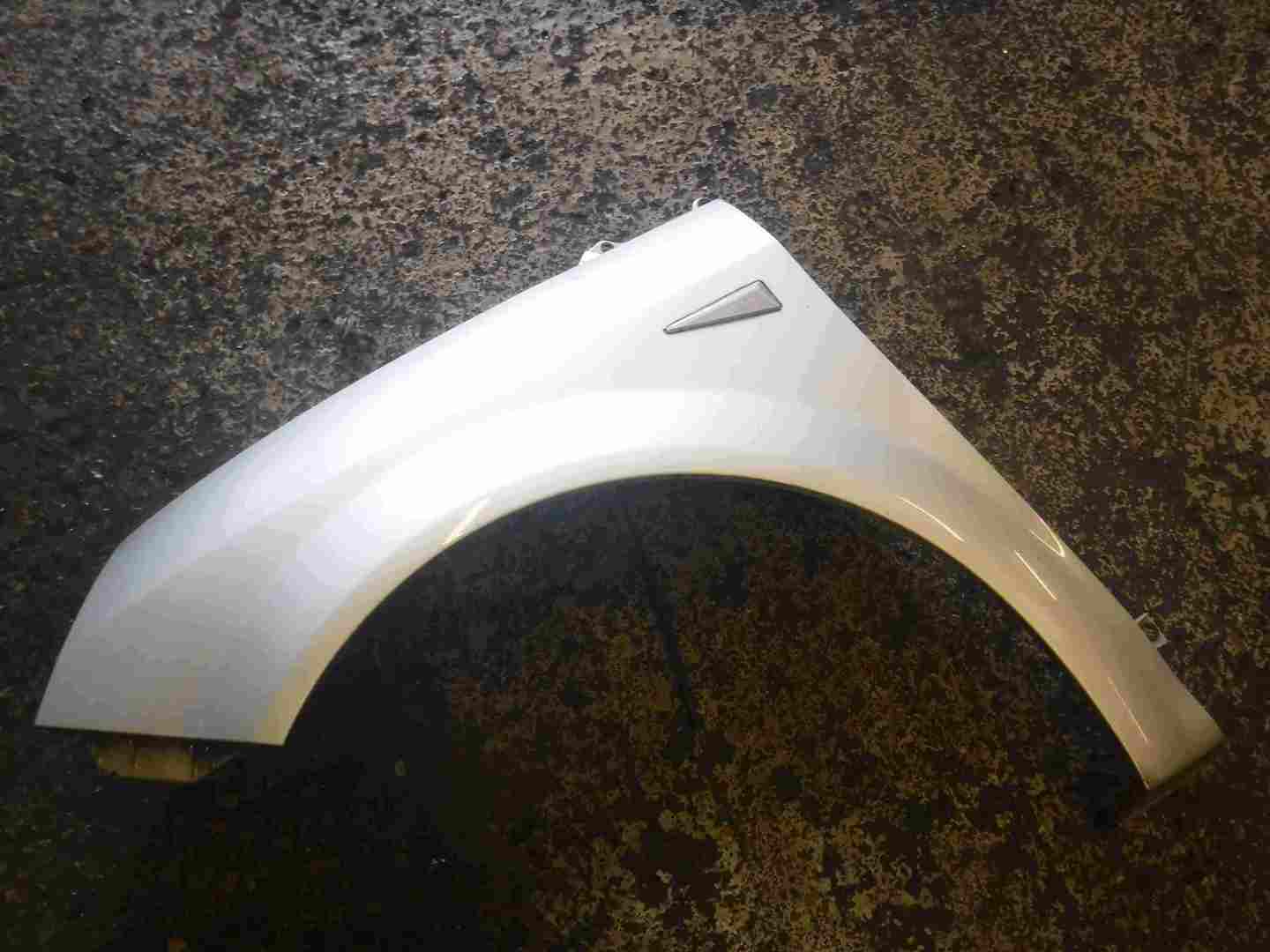 Renault Scenic 2003-2009 Passenger NS Wing Silver TED69