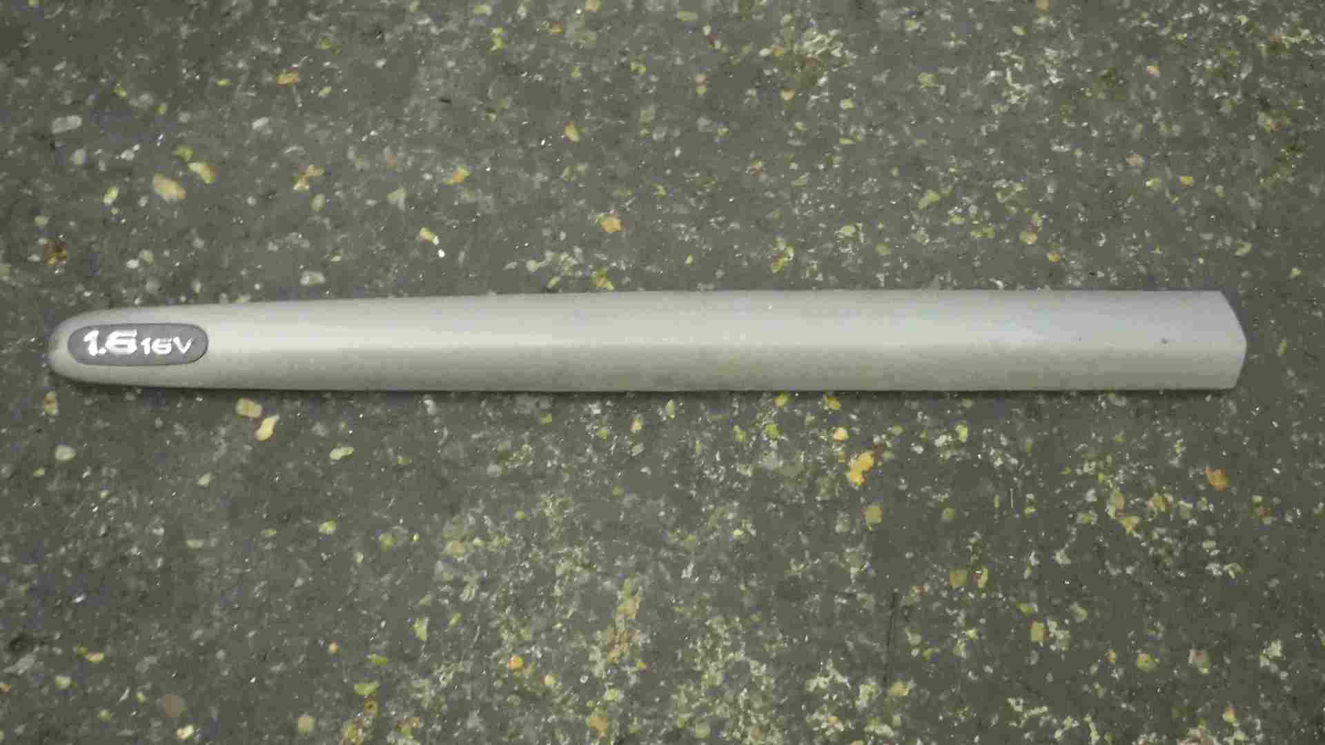 Renault Scenic MK1 1999-2003 Passenger NSF Front Door Moulding Trim Silver