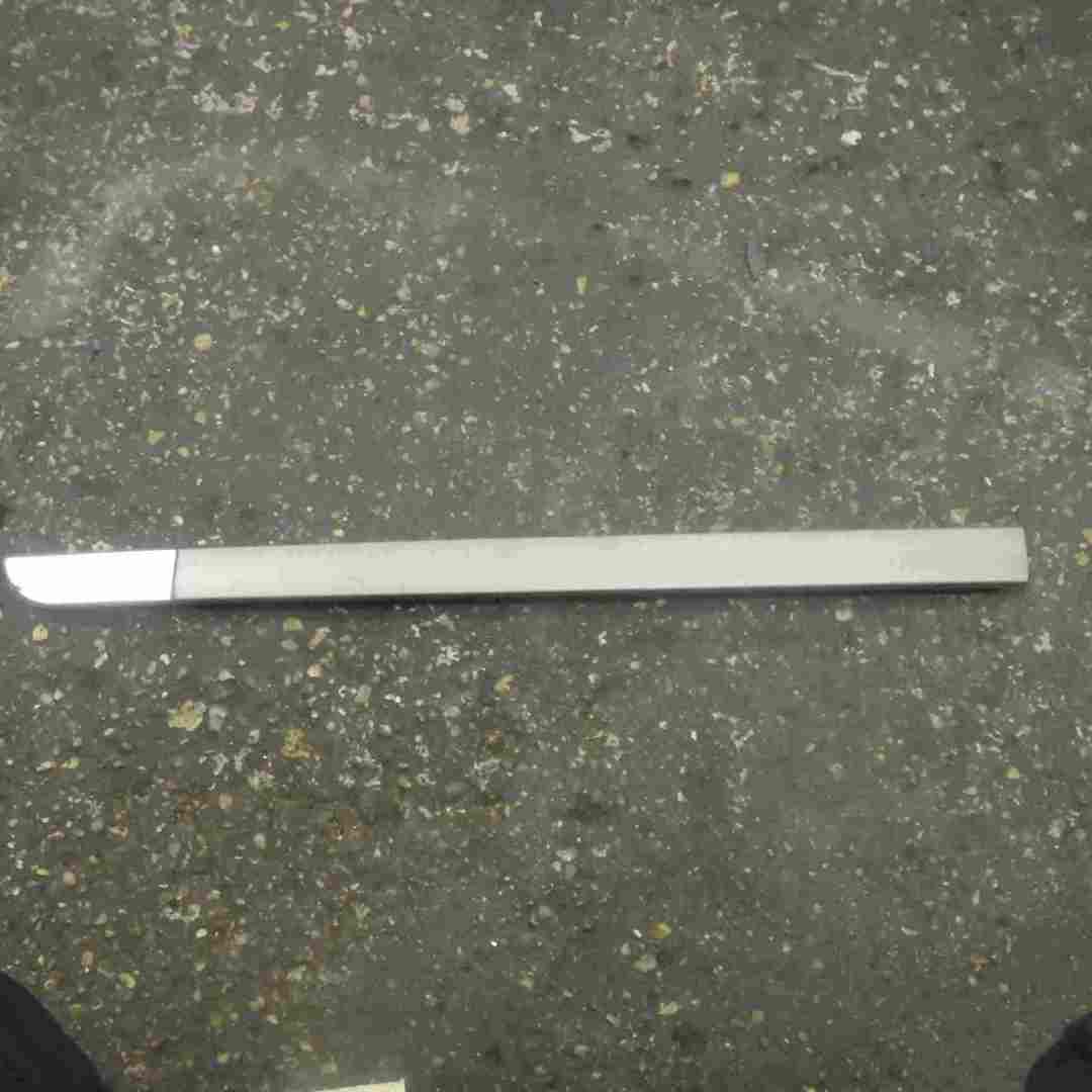 Renault Scenic MK2 2003-2009 1.9 Dci Passenger NSF Front Door Moulding Trim
