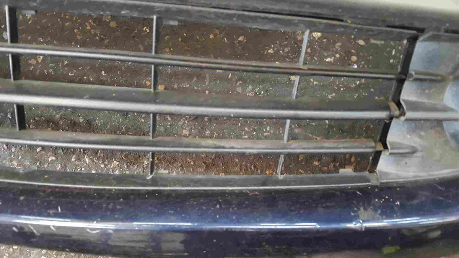 Thumb 3 Renault Scenic MK2 2006-2009 Front Bumper Blue NV472 Facelift