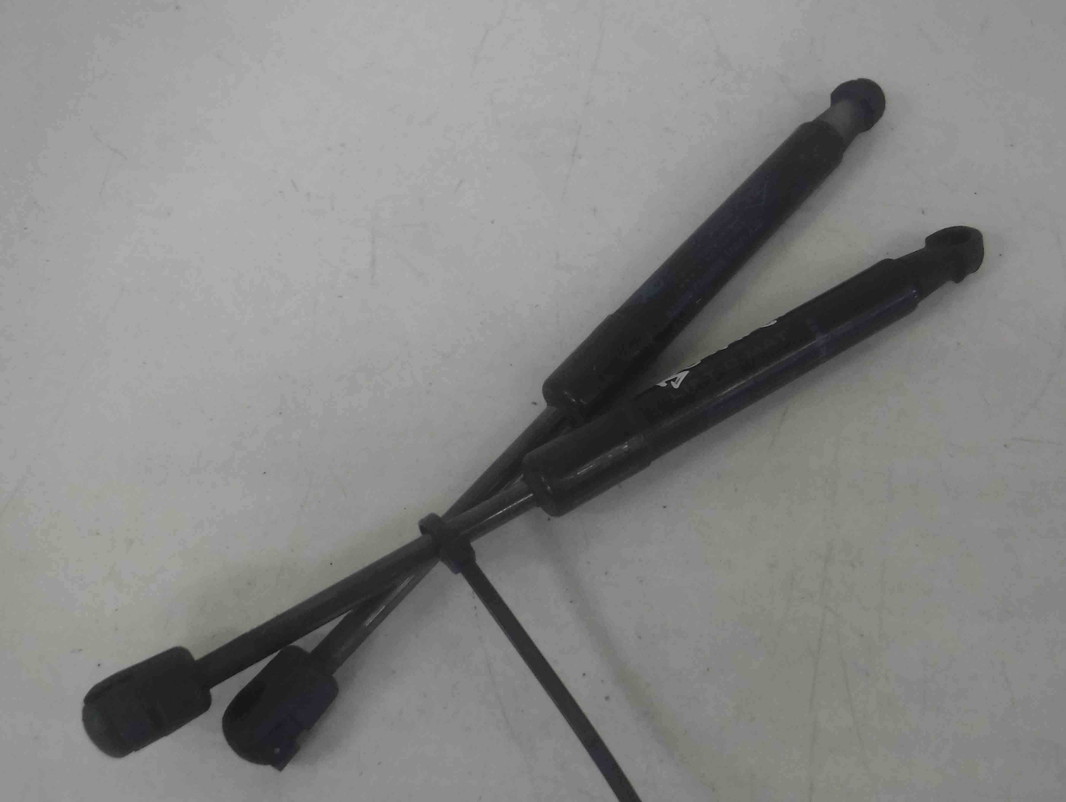 Renault Scenic MK3 2009-2016 Front Bonnet Hinges Pair Struts 654700008R