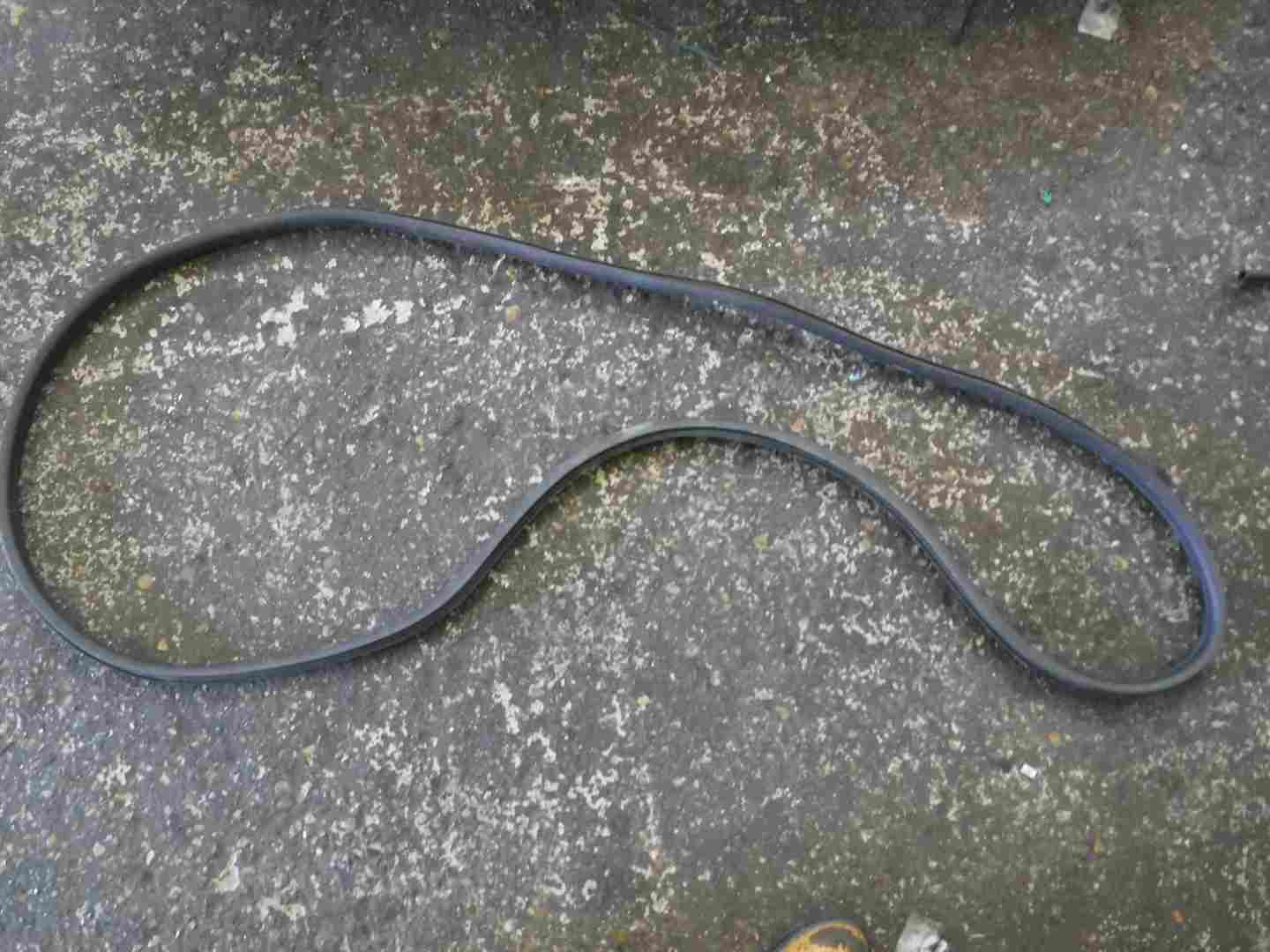 Renault Scenic MK3 2009-2016 Passenger NSF Front Door Rubber Seal